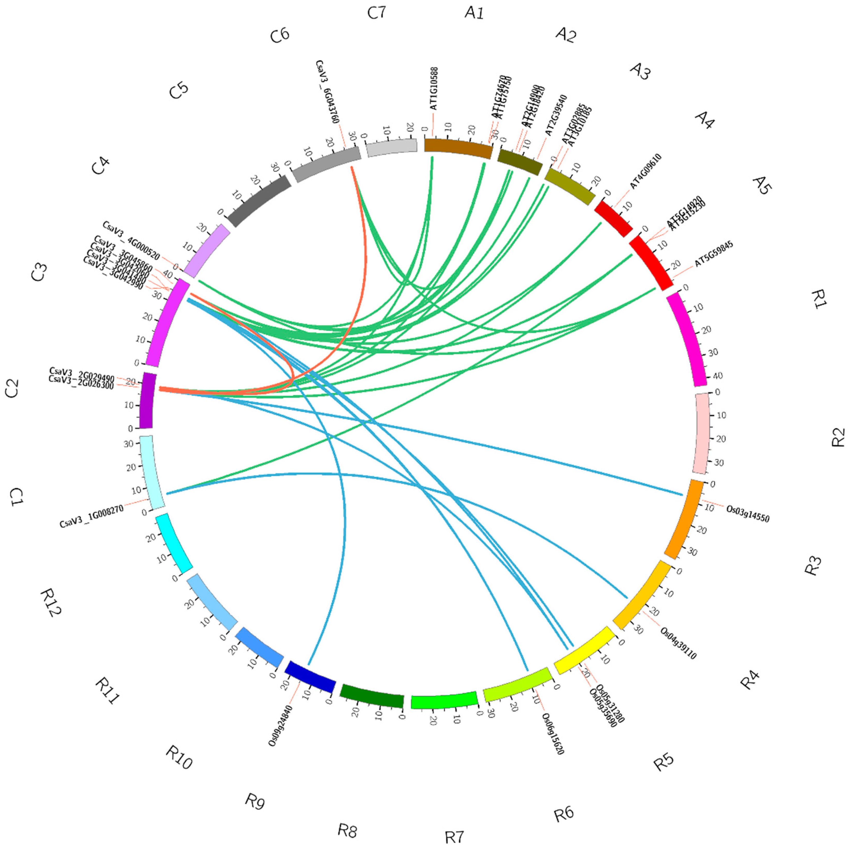 Agronomy 12 01978 g003