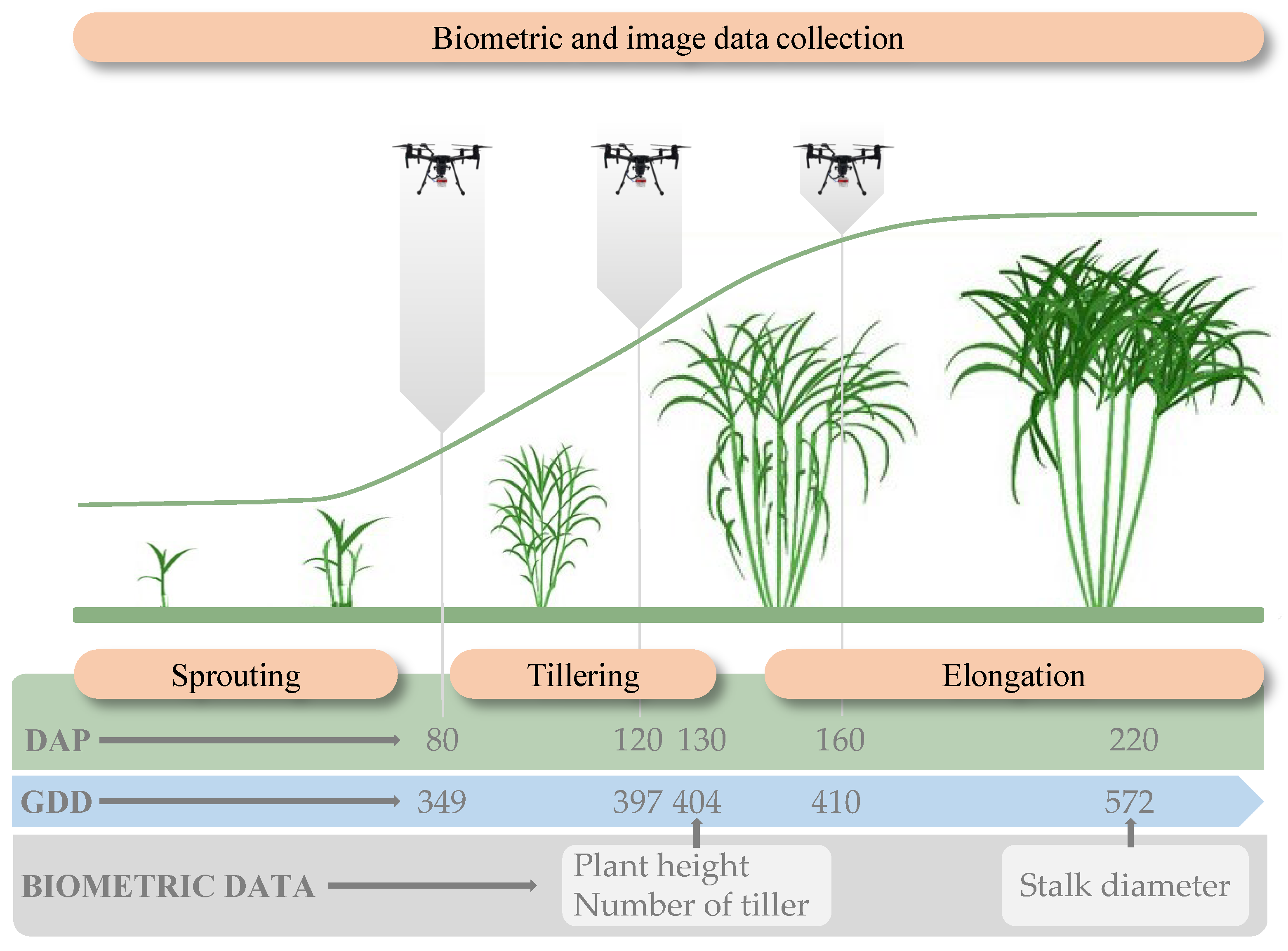 Agronomy 12 01992 g001
