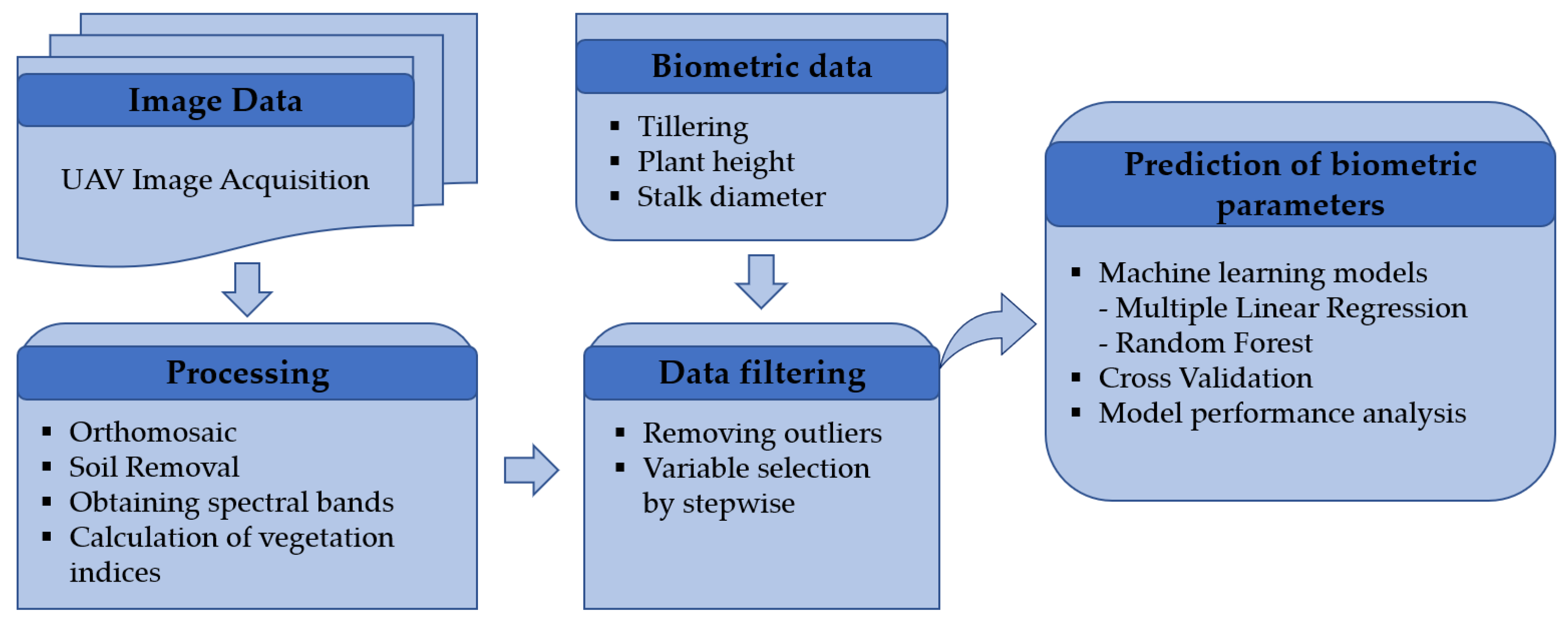 Agronomy 12 01992 g002