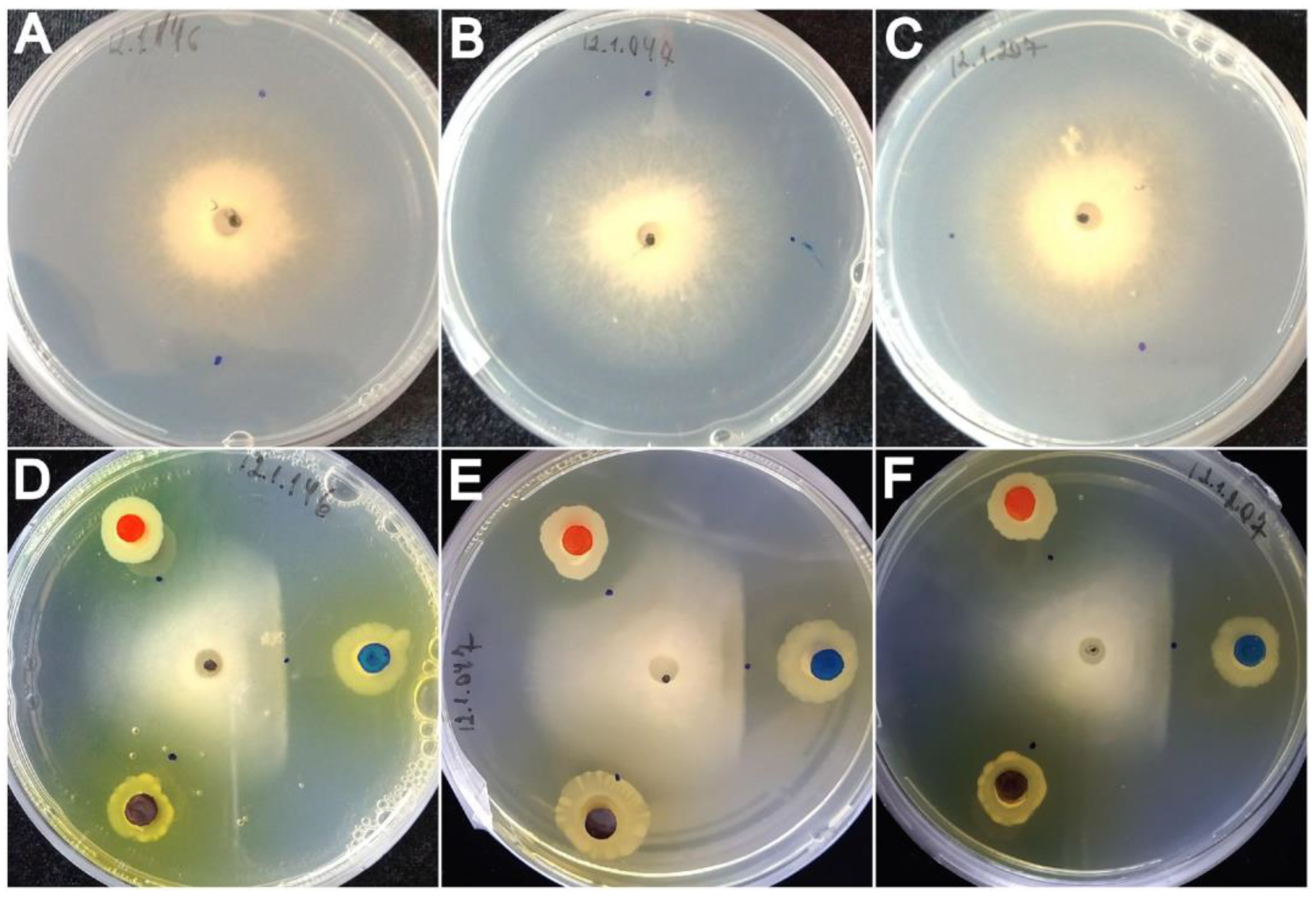 Agronomy 12 02003 g002
