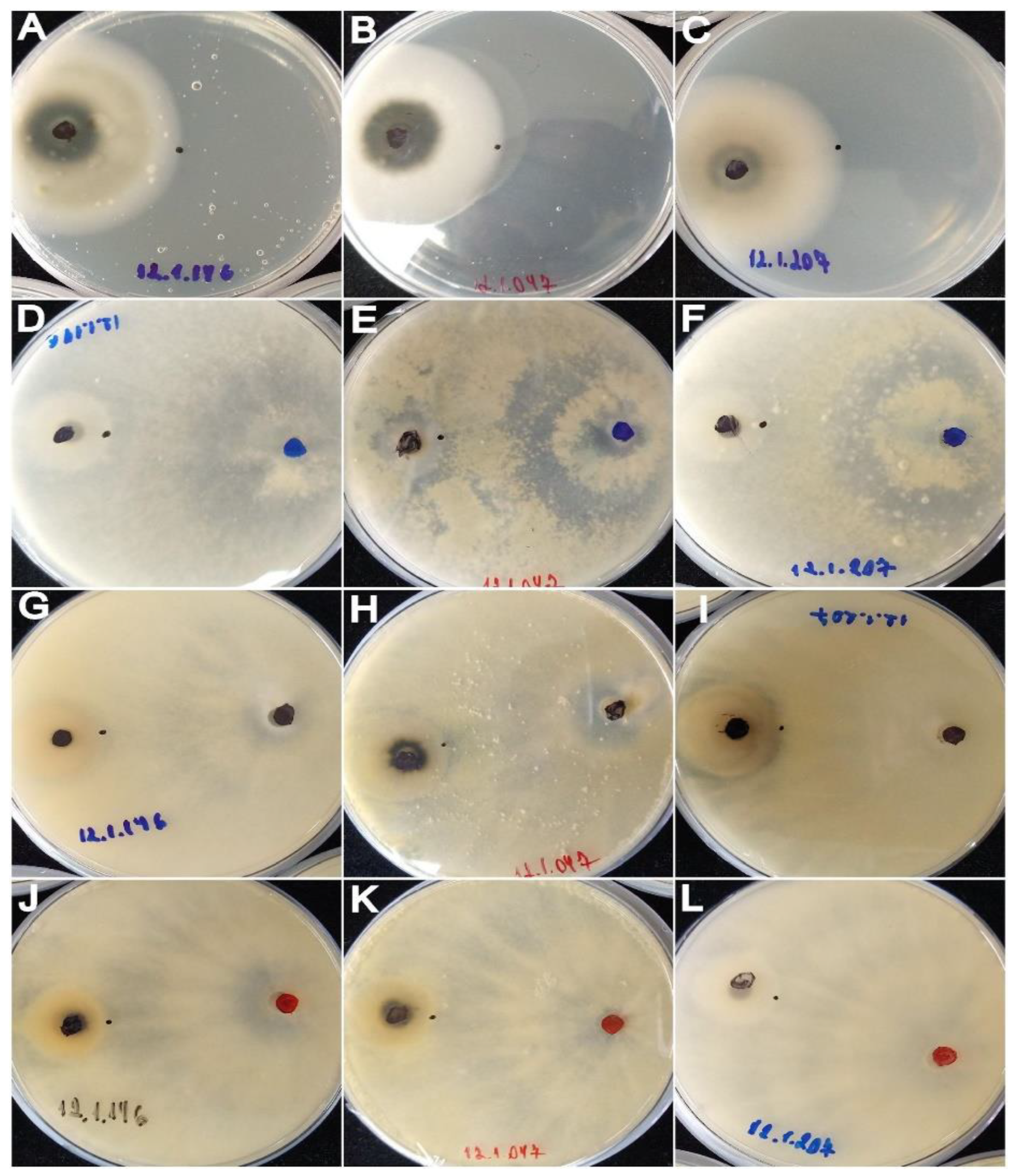 Agronomy 12 02003 g004