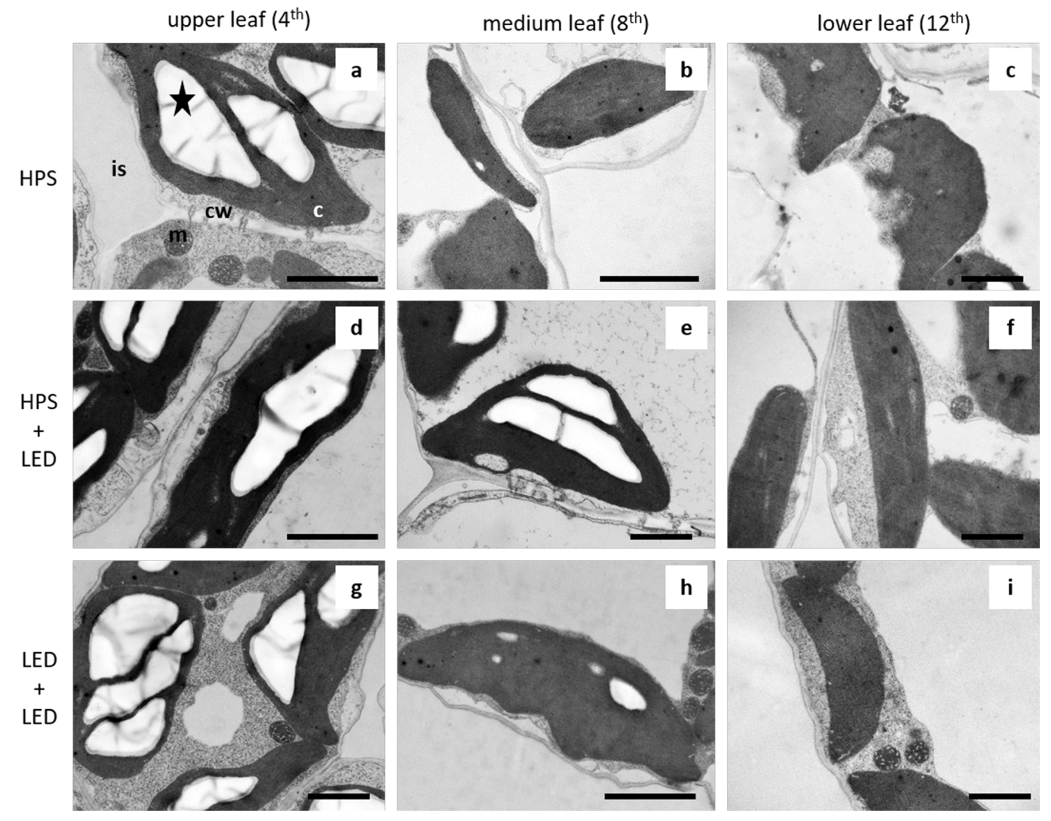 Agronomy 12 02004 g002