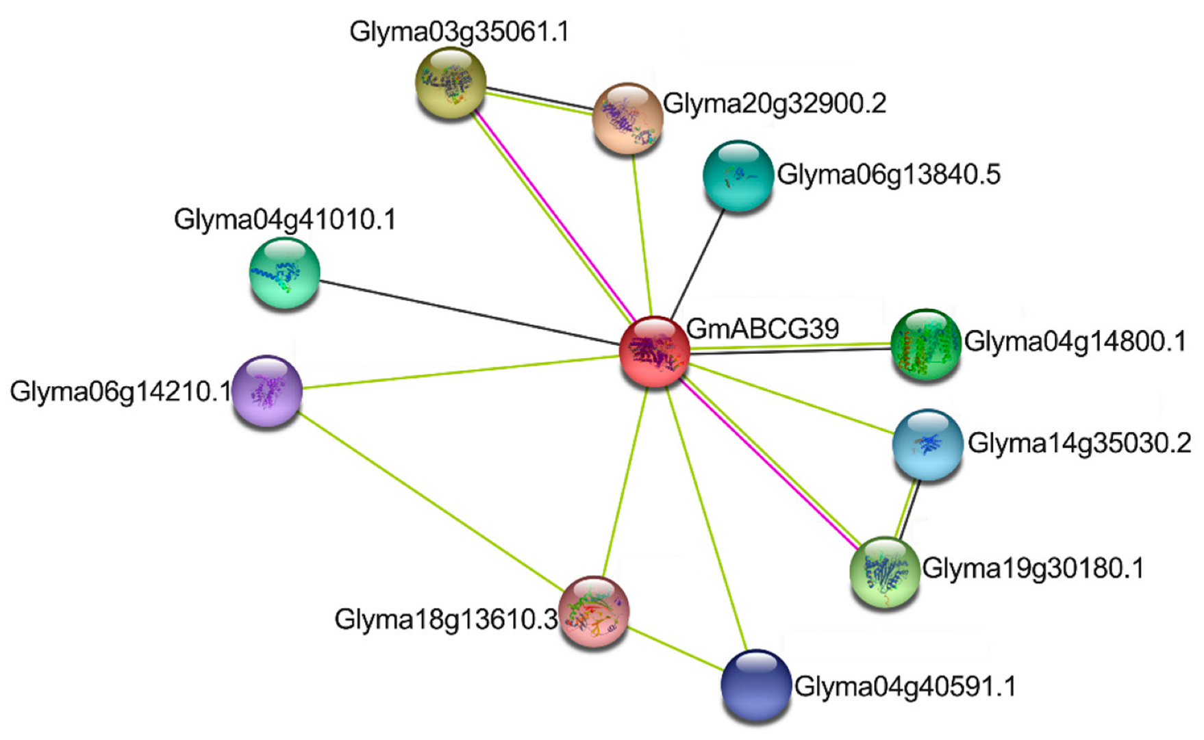 Agronomy 12 02031 g004