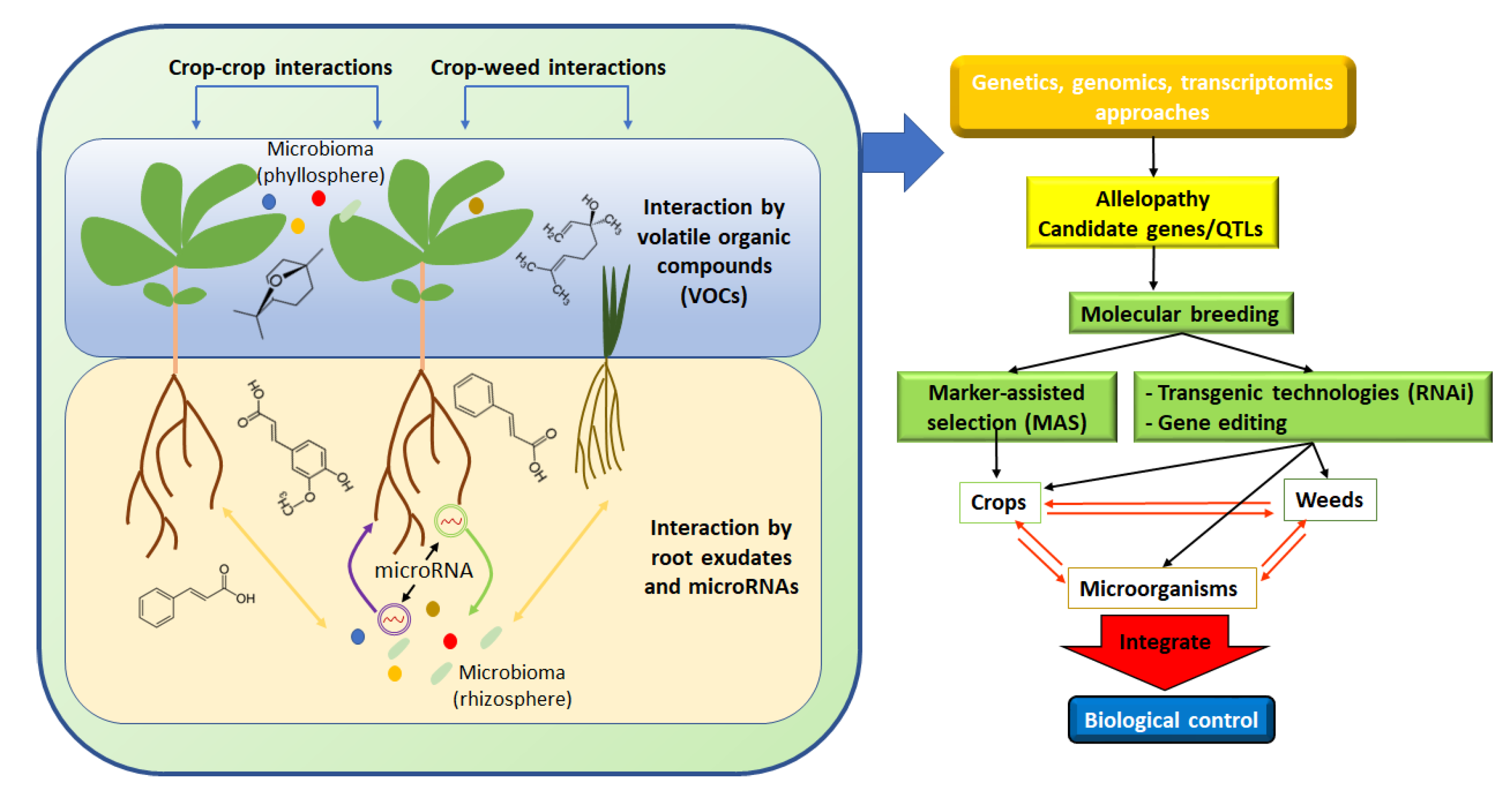Agronomy 12 02043 g001 Agronomy 12 02043 g001