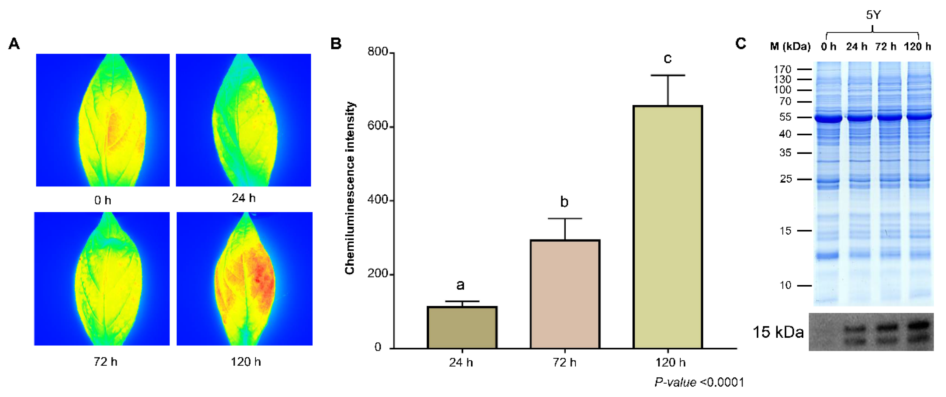 Agronomy 12 02048 g001