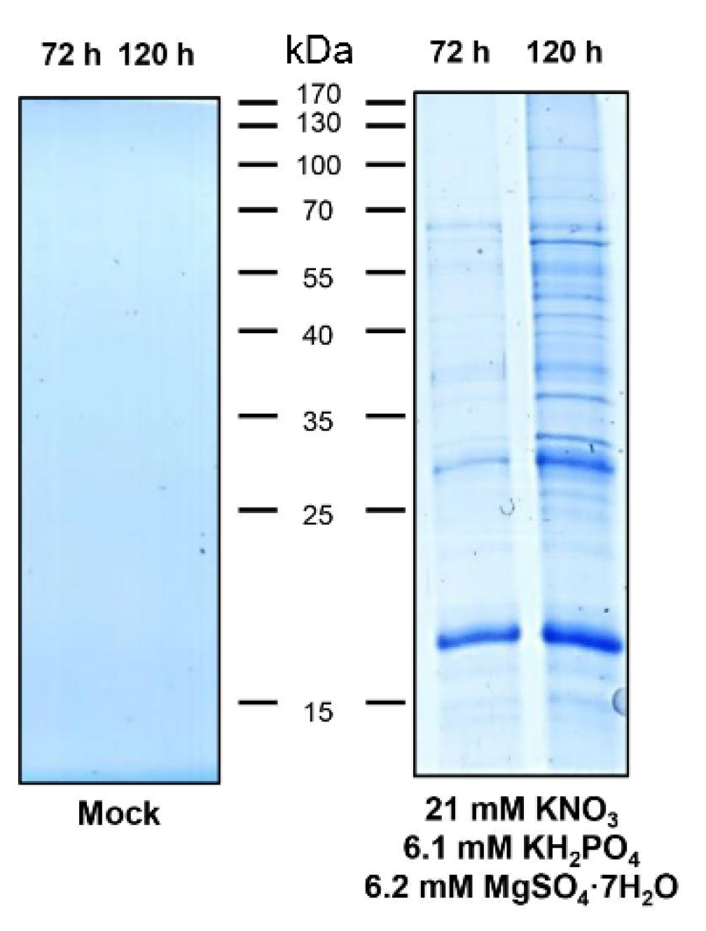 Agronomy 12 02048 g002