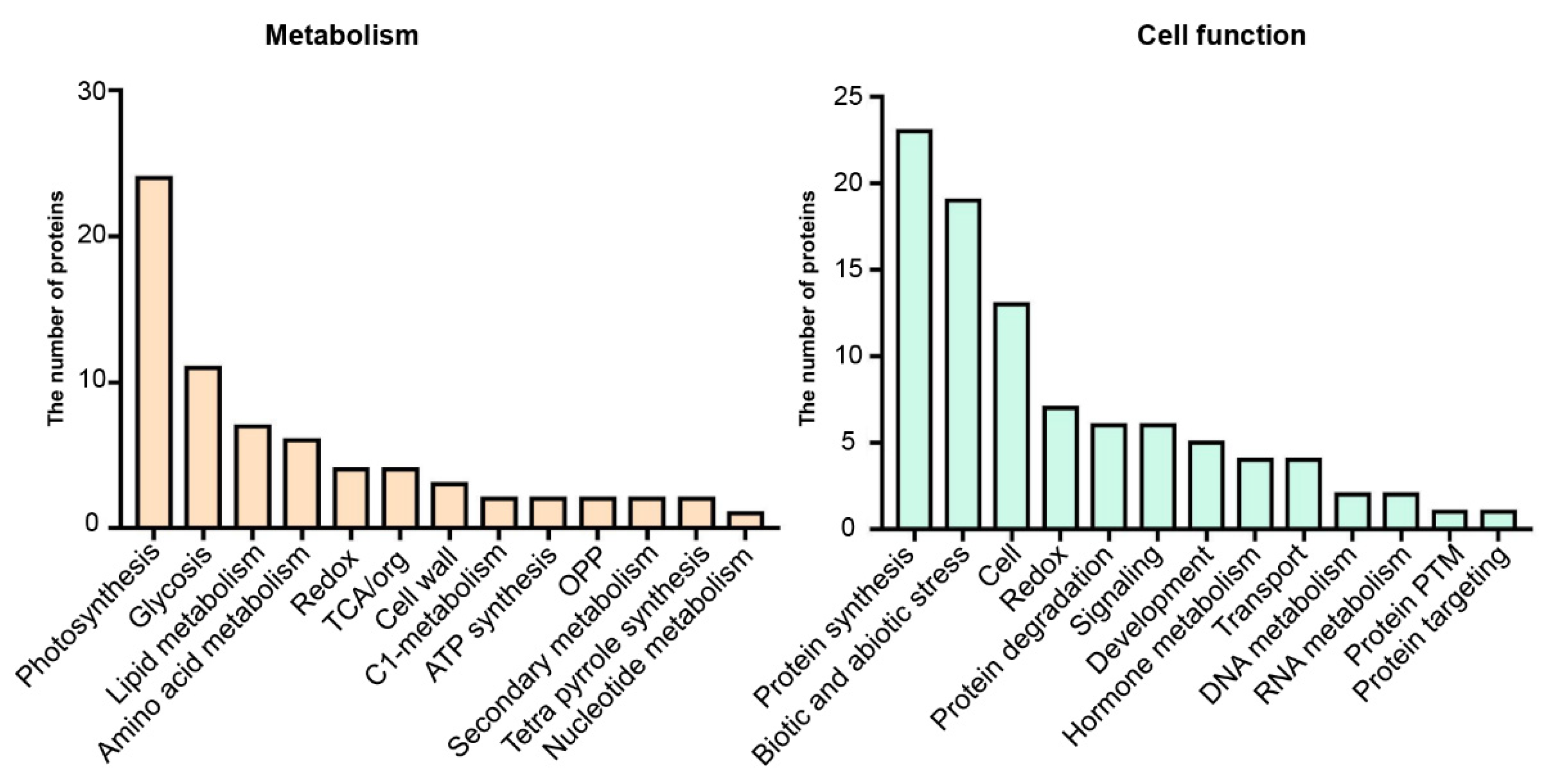 Agronomy 12 02048 g004