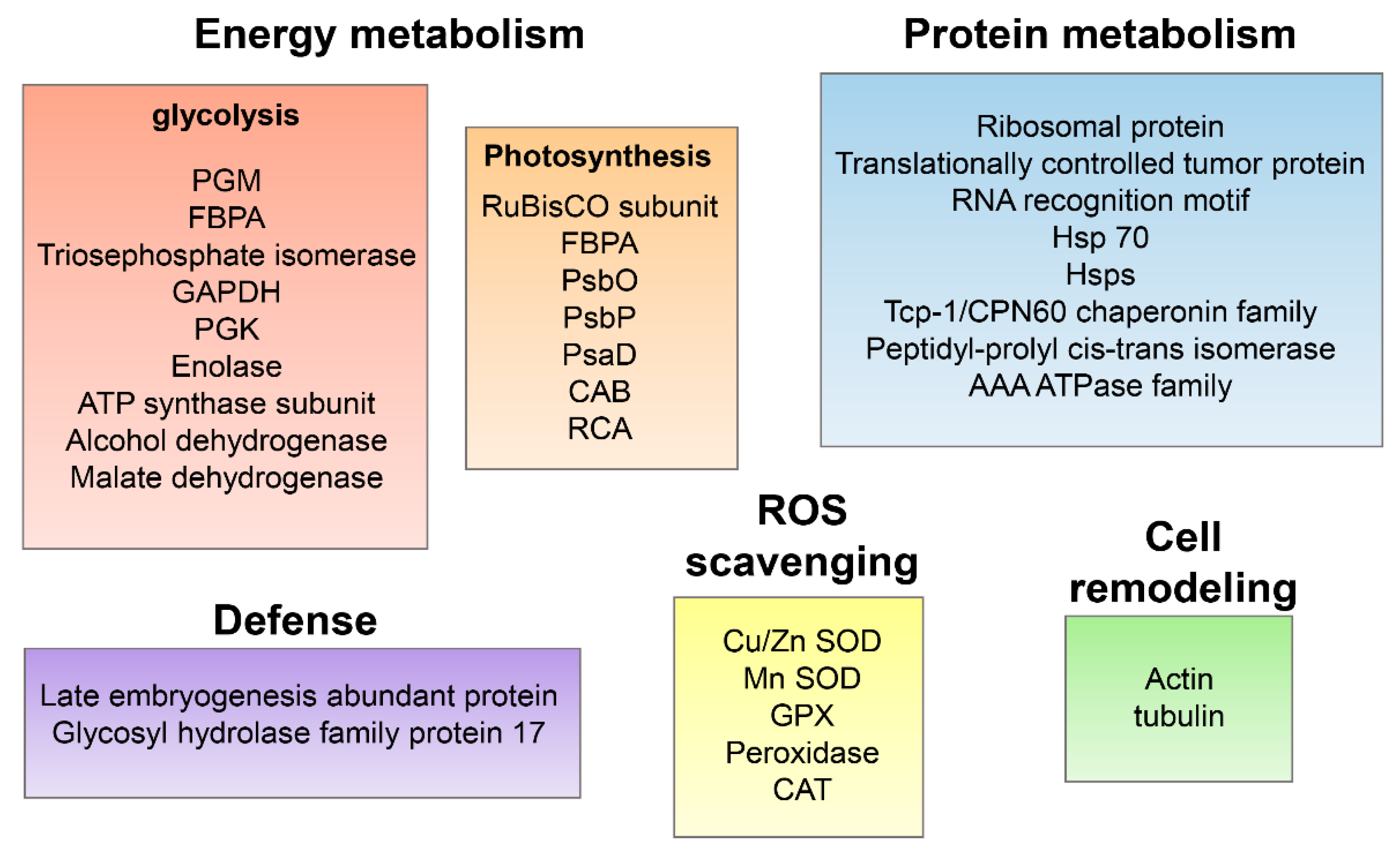Agronomy 12 02048 g005