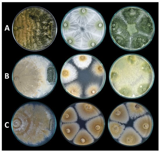 Agronomy 12 02052 g001