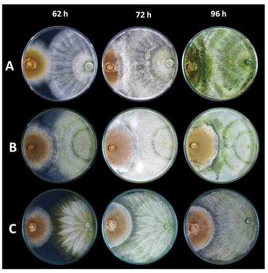 Agronomy 12 02052 g002