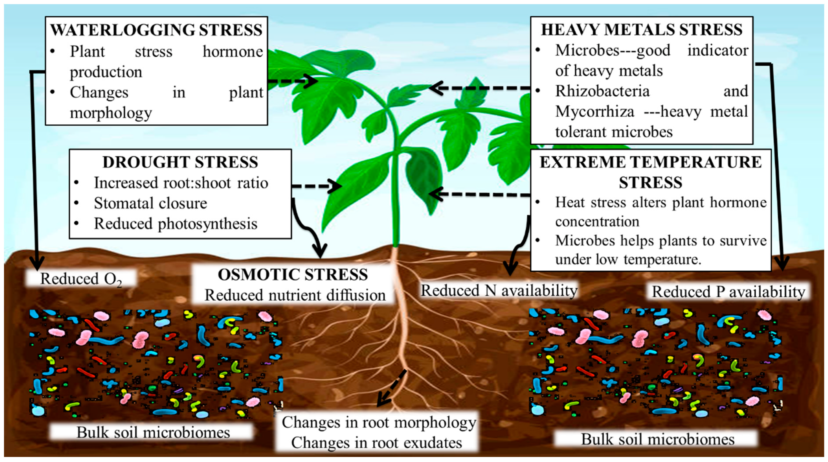 Agronomy 12 02069 g002