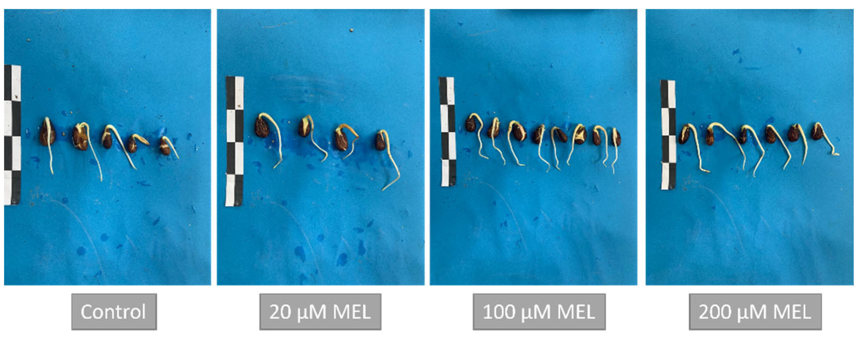 Agronomy 12 02070 g002