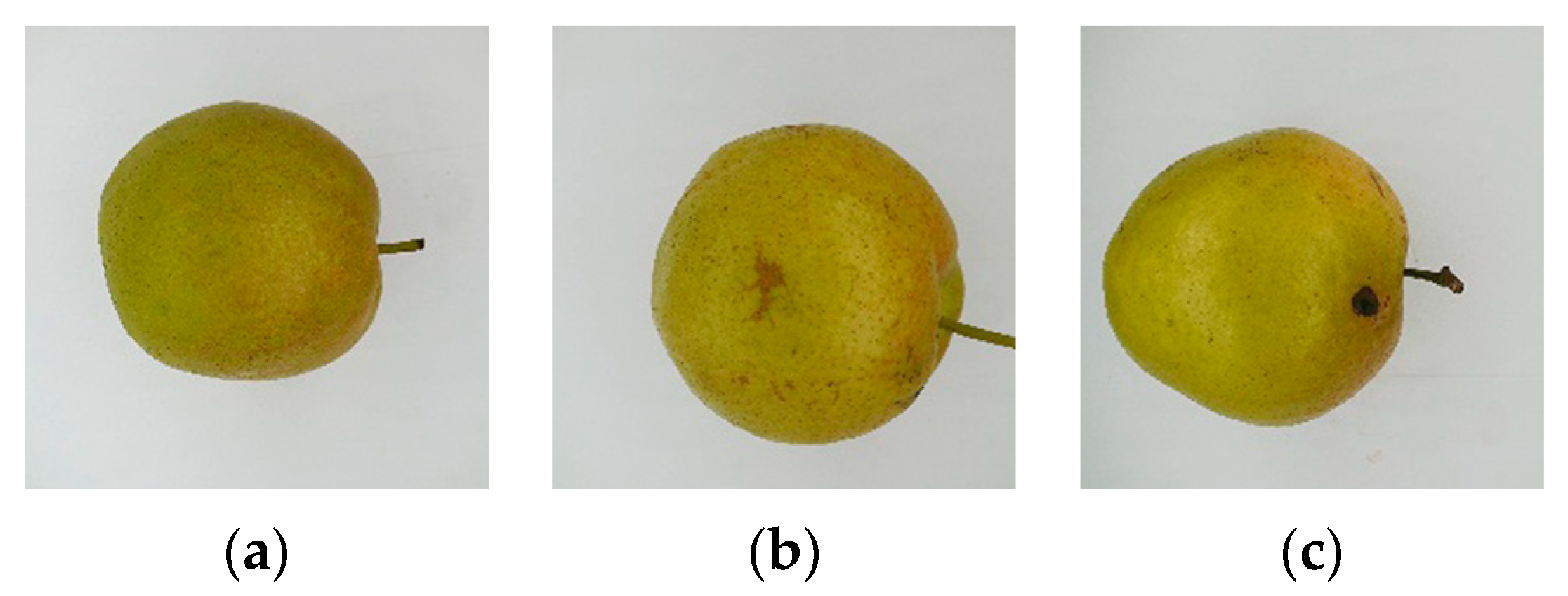 Agronomy 12 02076 g001