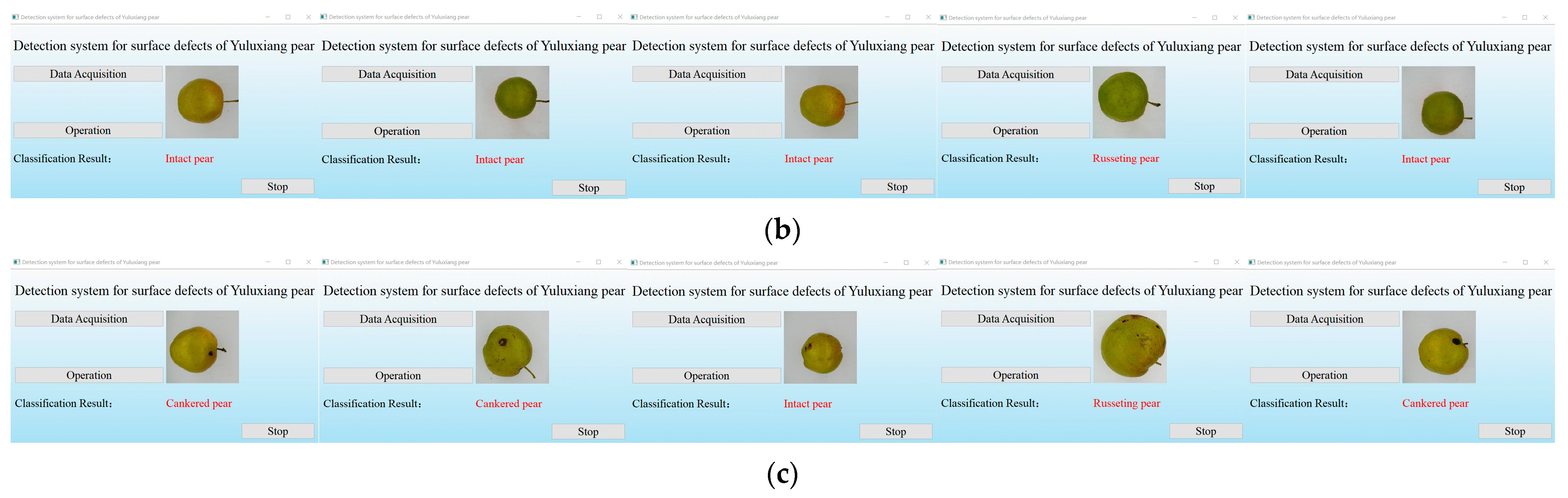 Agronomy 12 02076 g009b