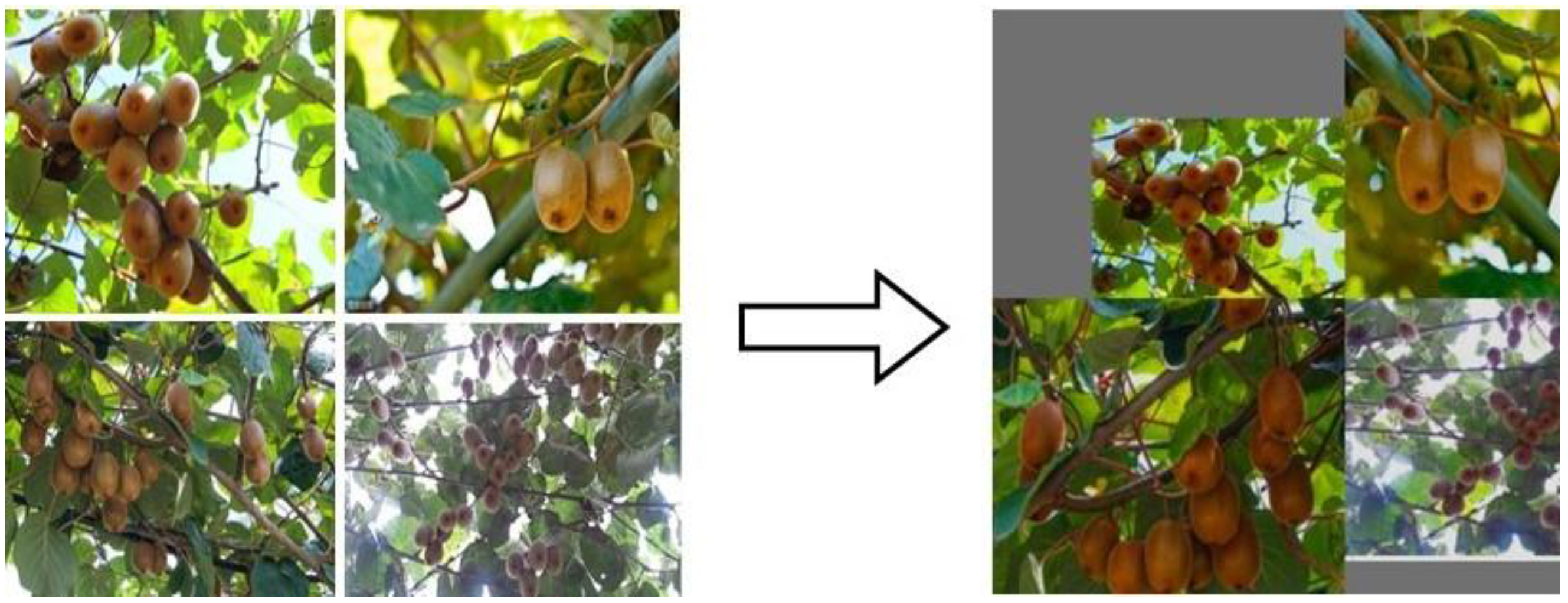 Agronomy 12 02081 g003