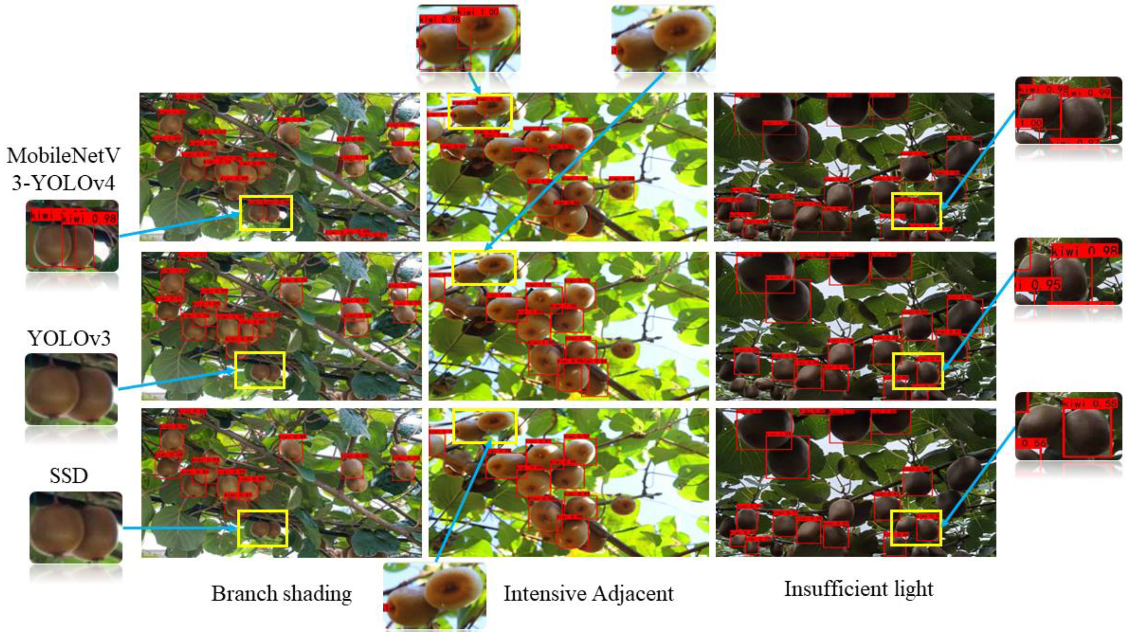 Agronomy 12 02081 g011