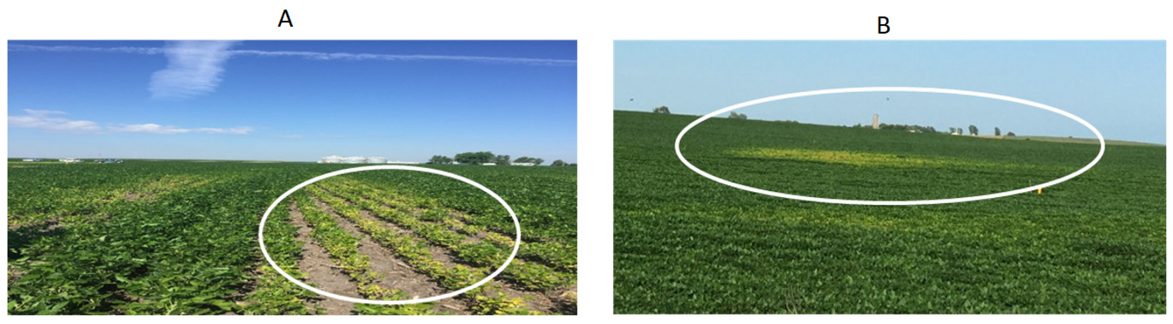 Agronomy 12 02095 g001 Agronomy 12 02095 g001