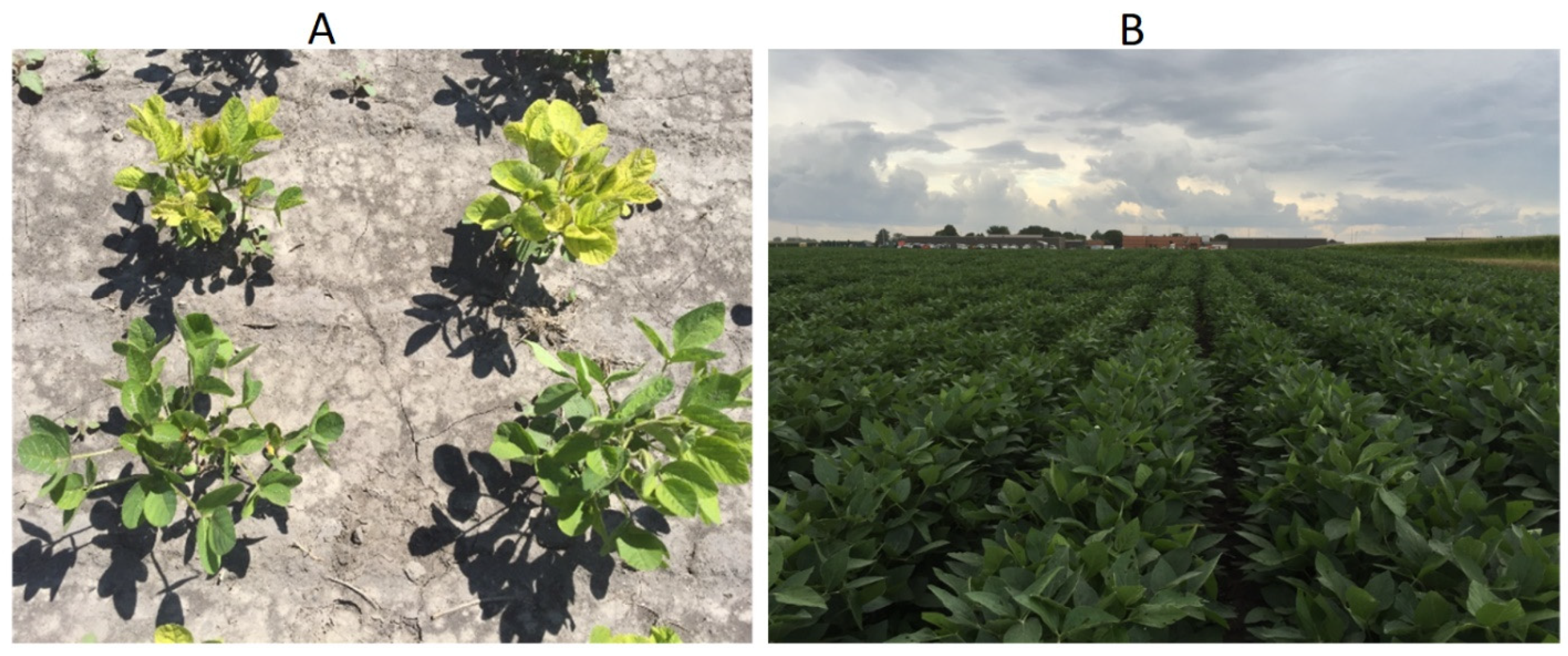 Agronomy 12 02095 g011 Agronomy 12 02095 g011