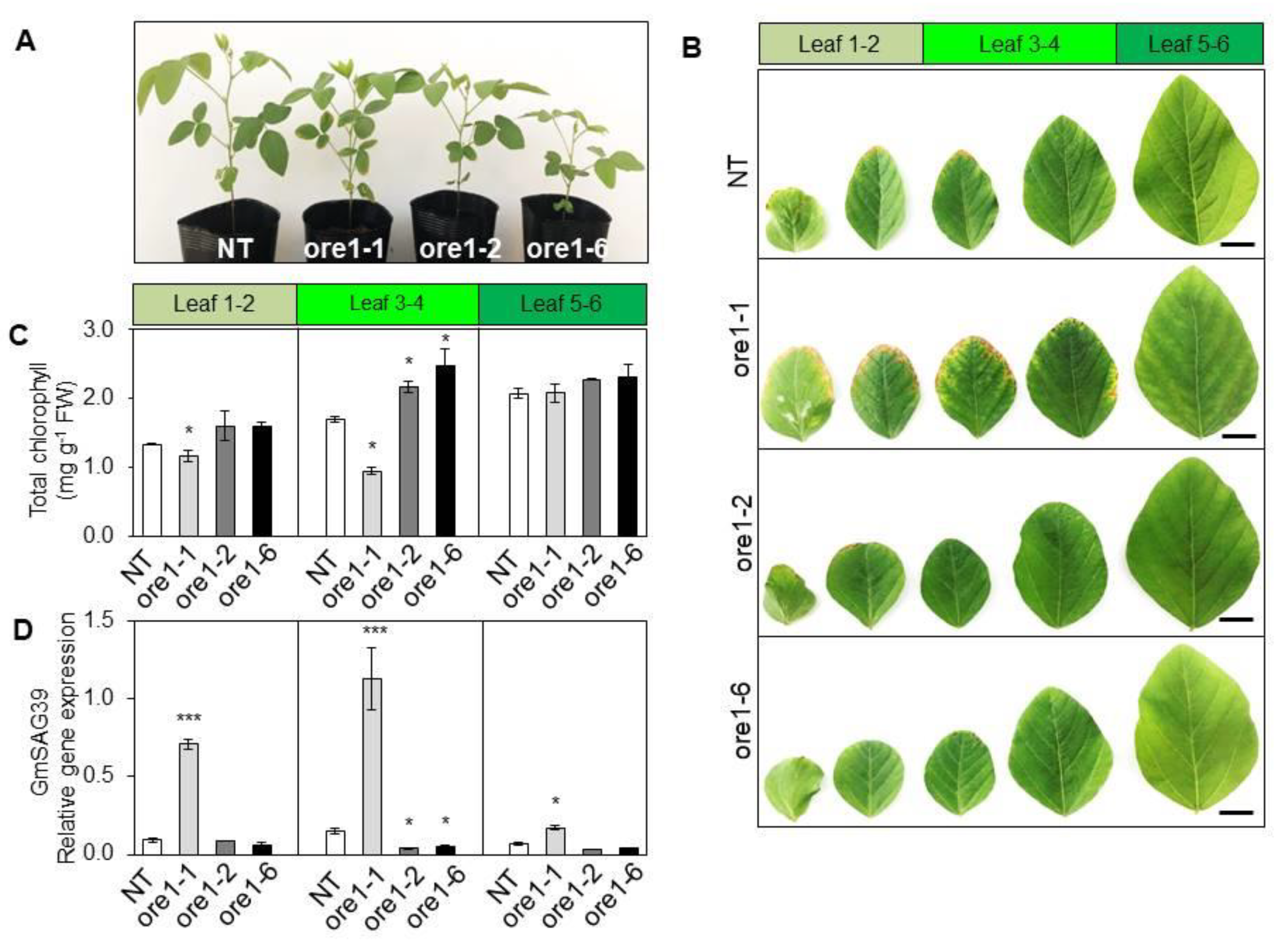 Agronomy 12 02110 g001