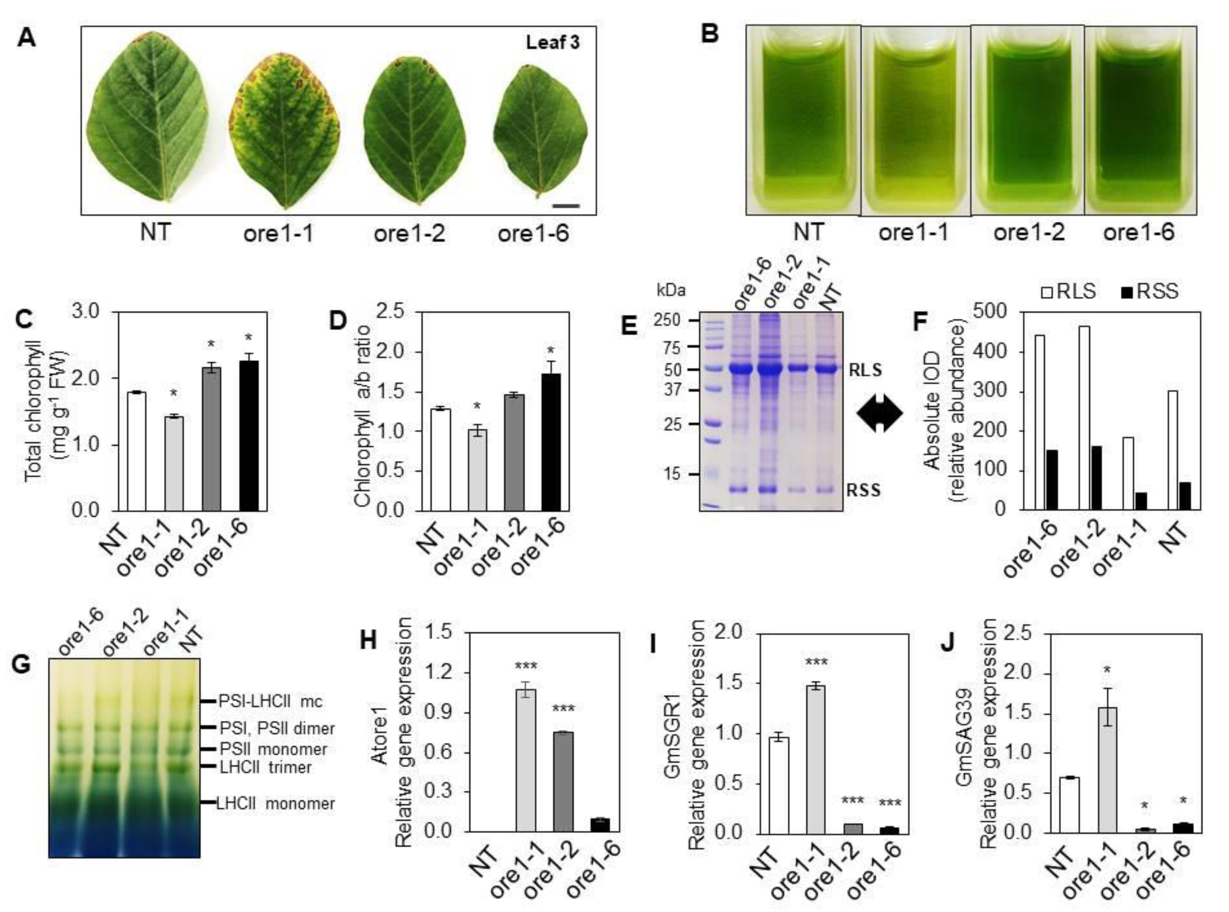 Agronomy 12 02110 g002