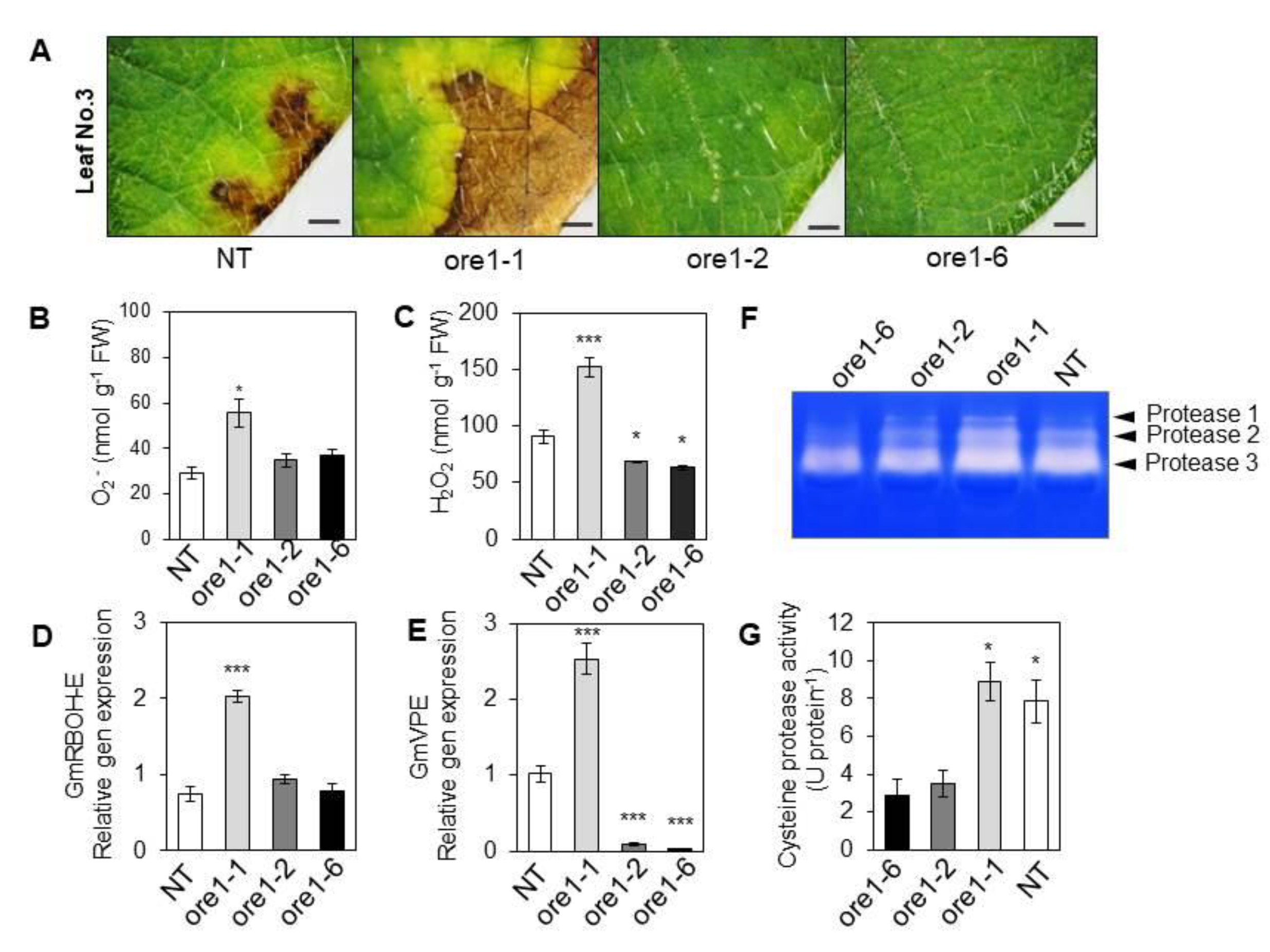 Agronomy 12 02110 g004