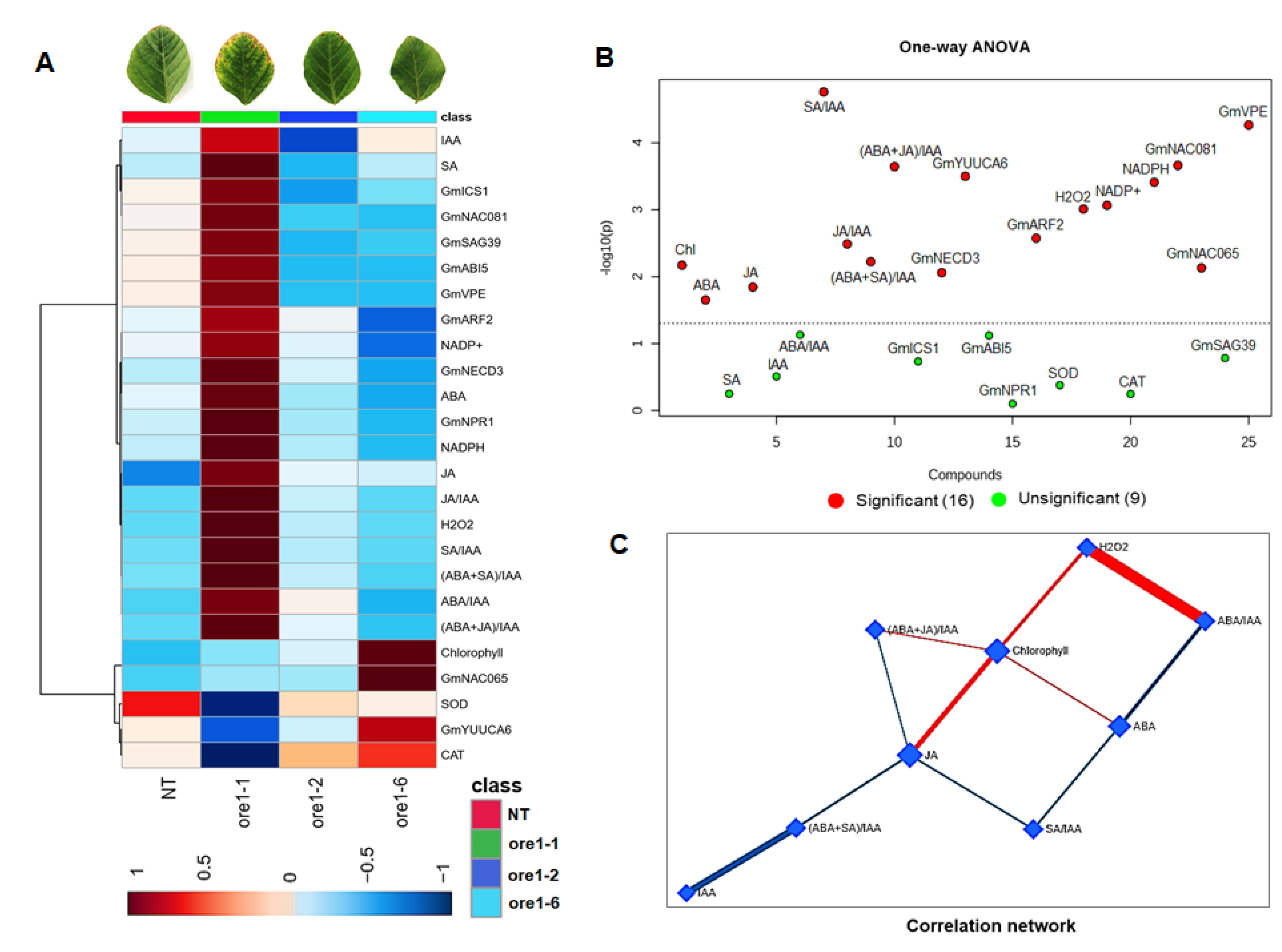 Agronomy 12 02110 g006
