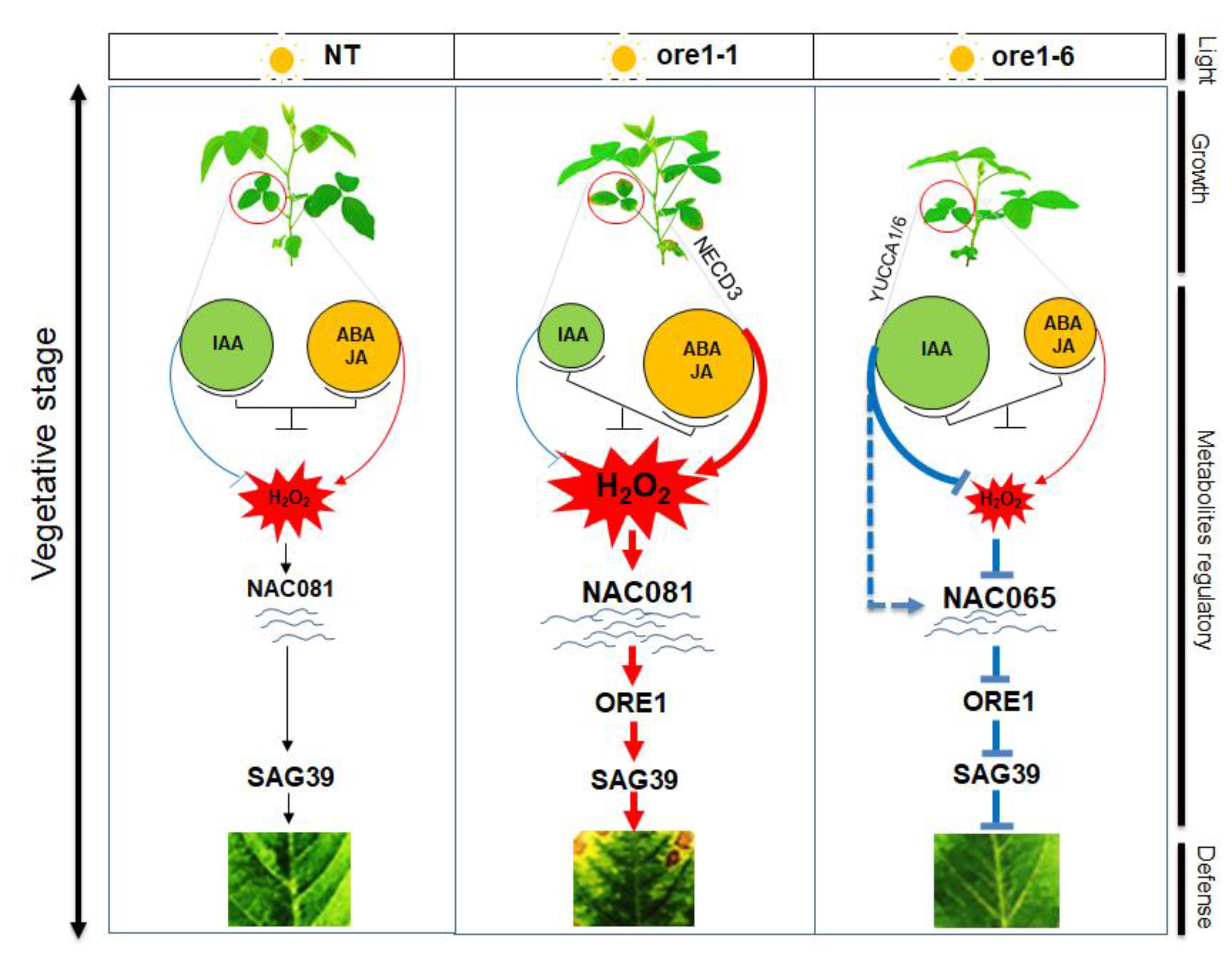 Agronomy 12 02110 g009