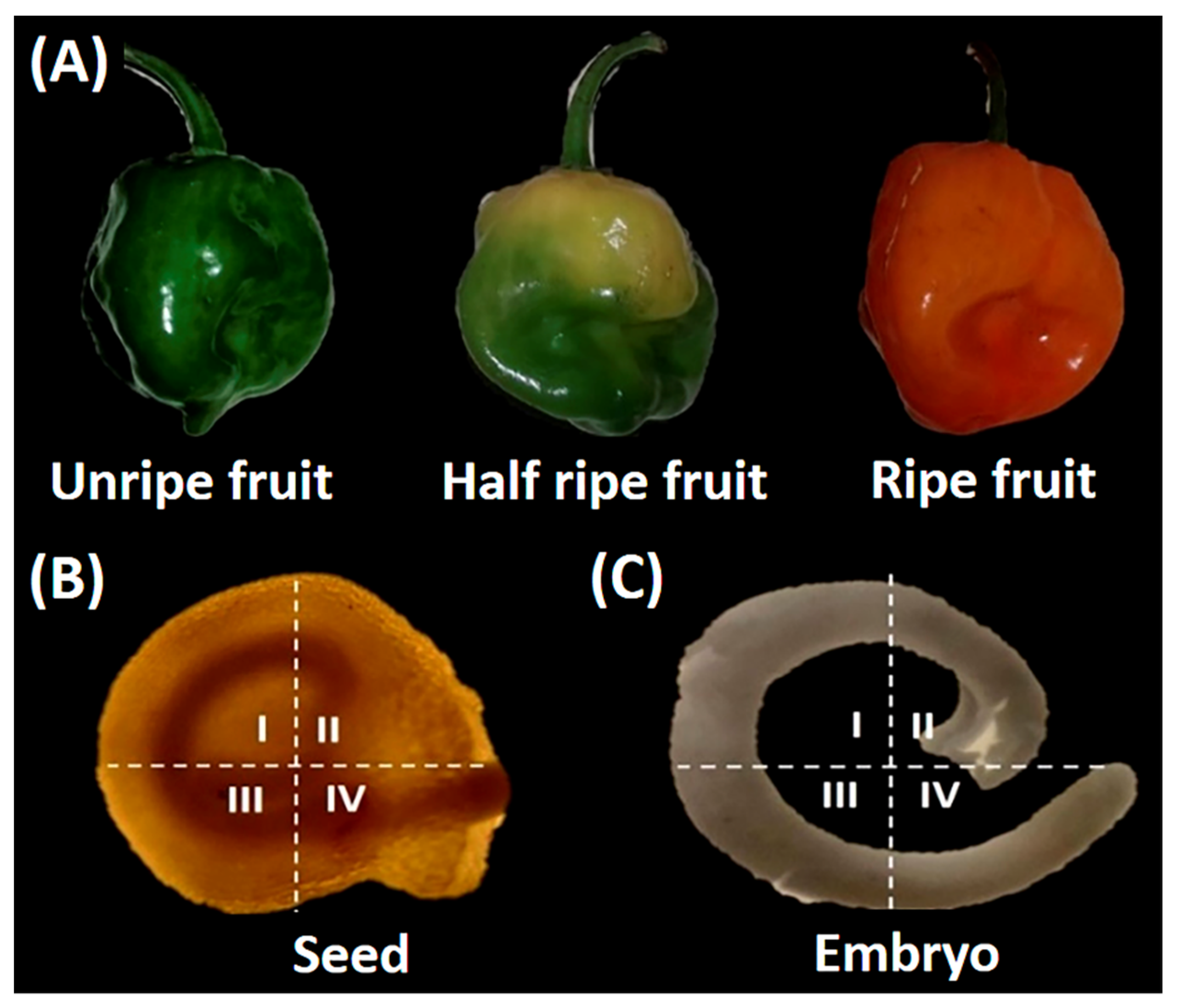 Agronomy 12 02117 g001