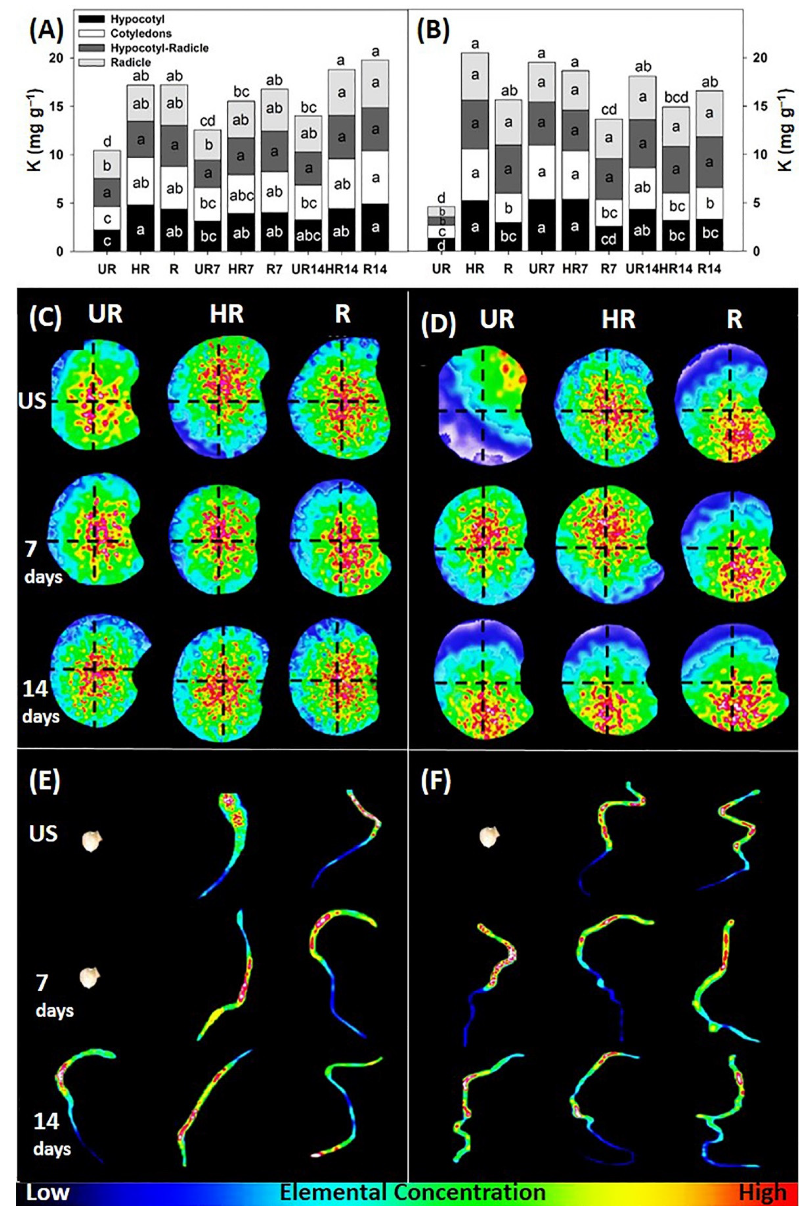 Agronomy 12 02117 g002