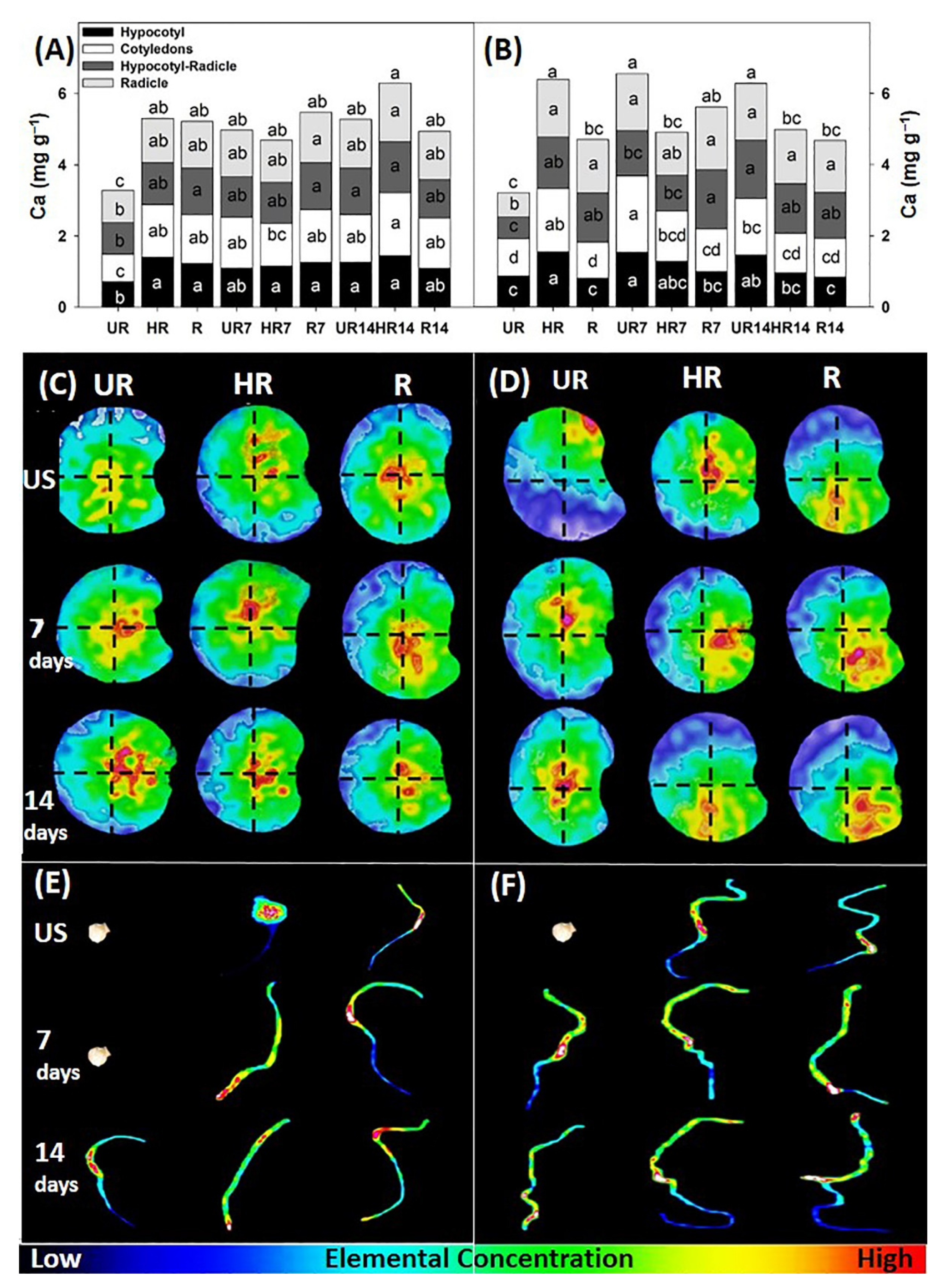 Agronomy 12 02117 g003