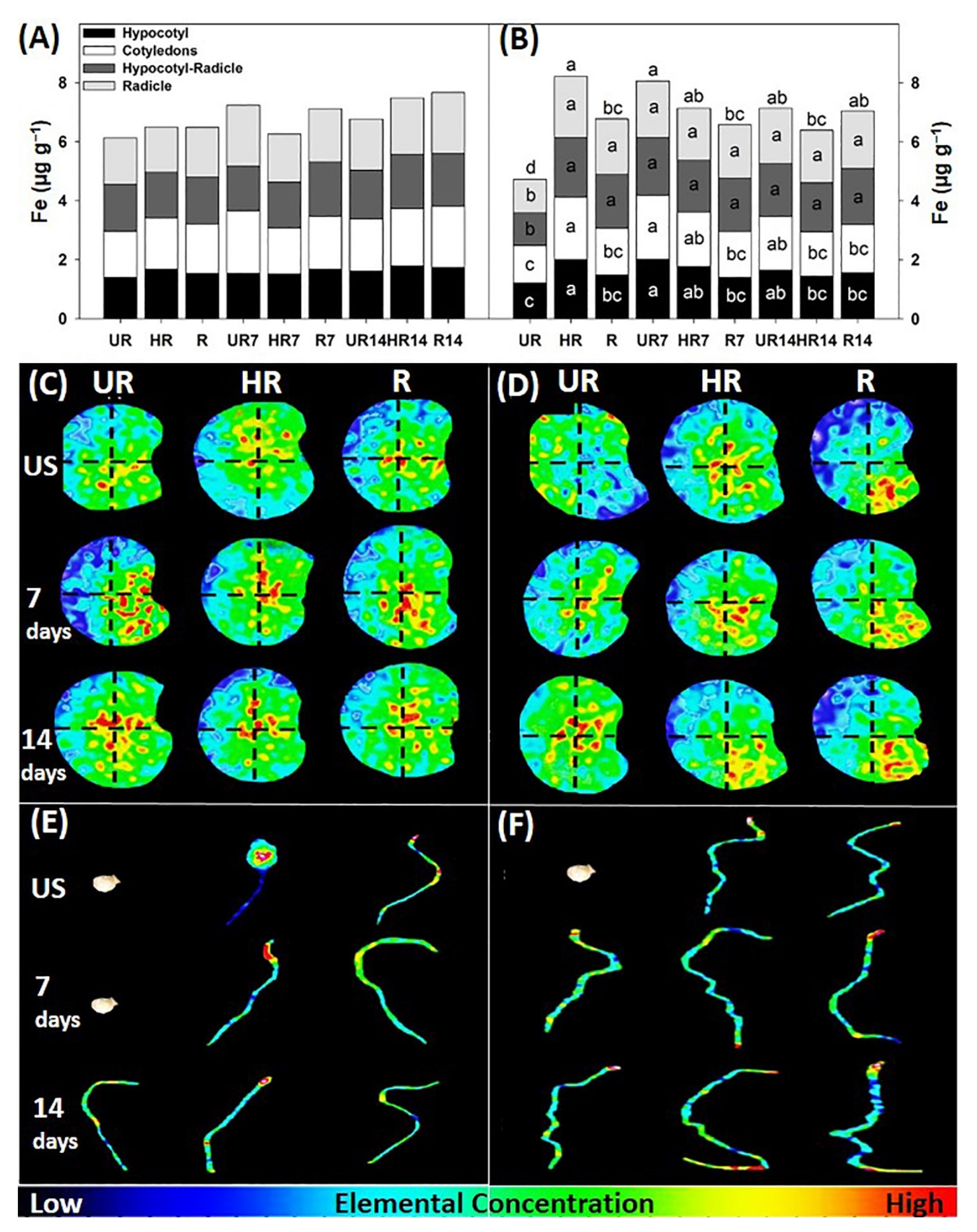 Agronomy 12 02117 g005