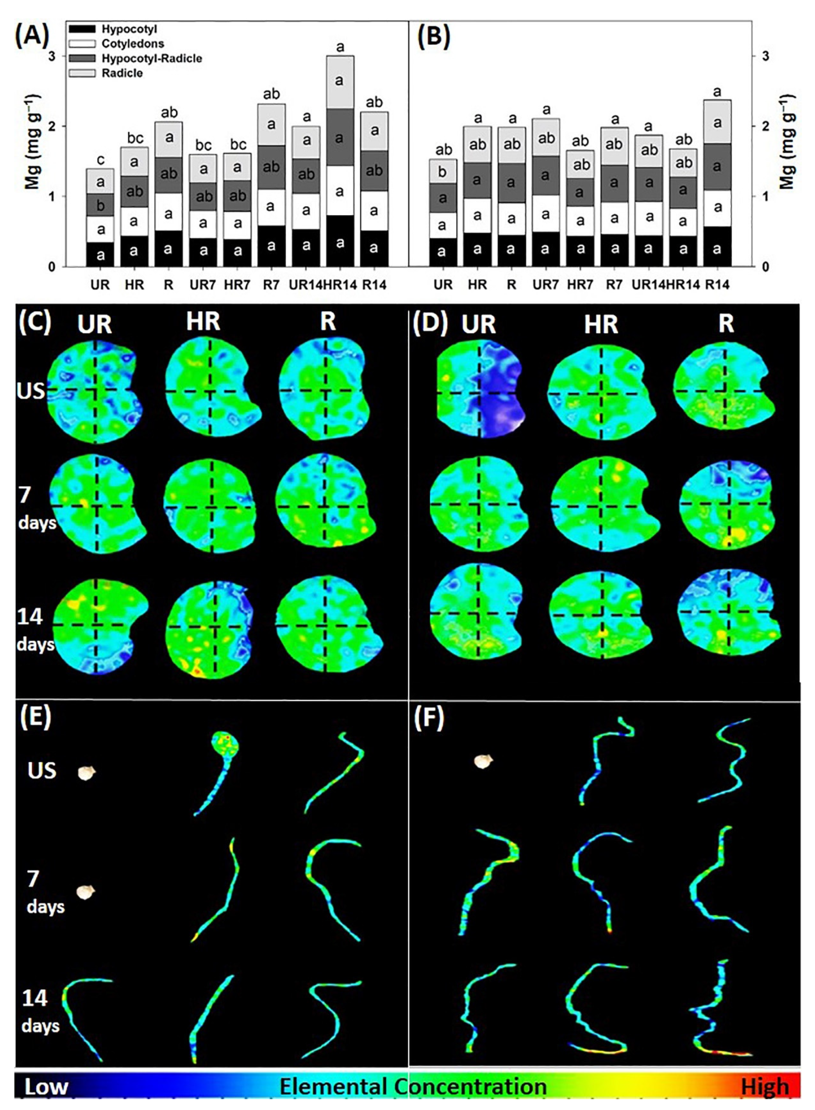Agronomy 12 02117 g006