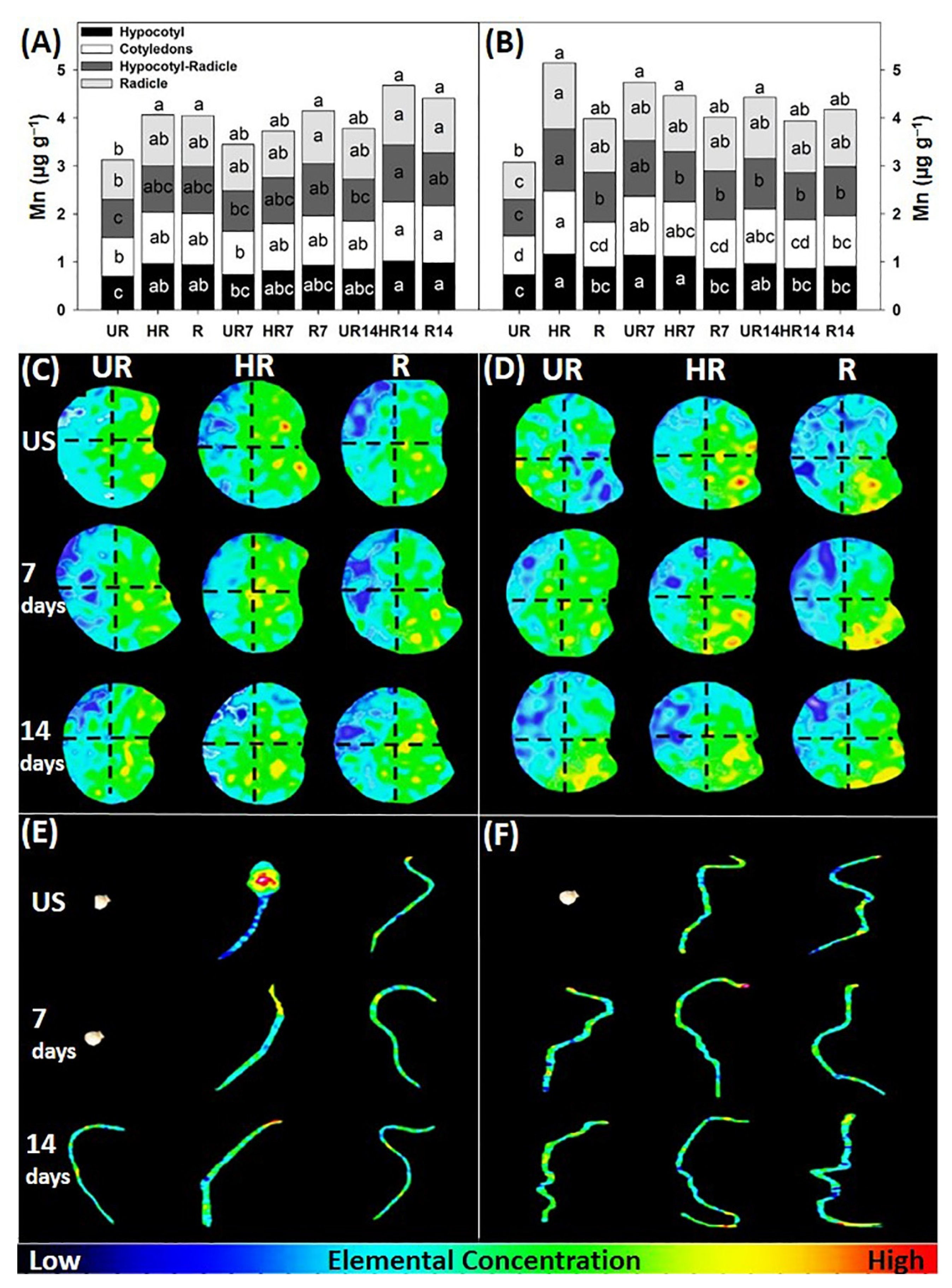 Agronomy 12 02117 g007