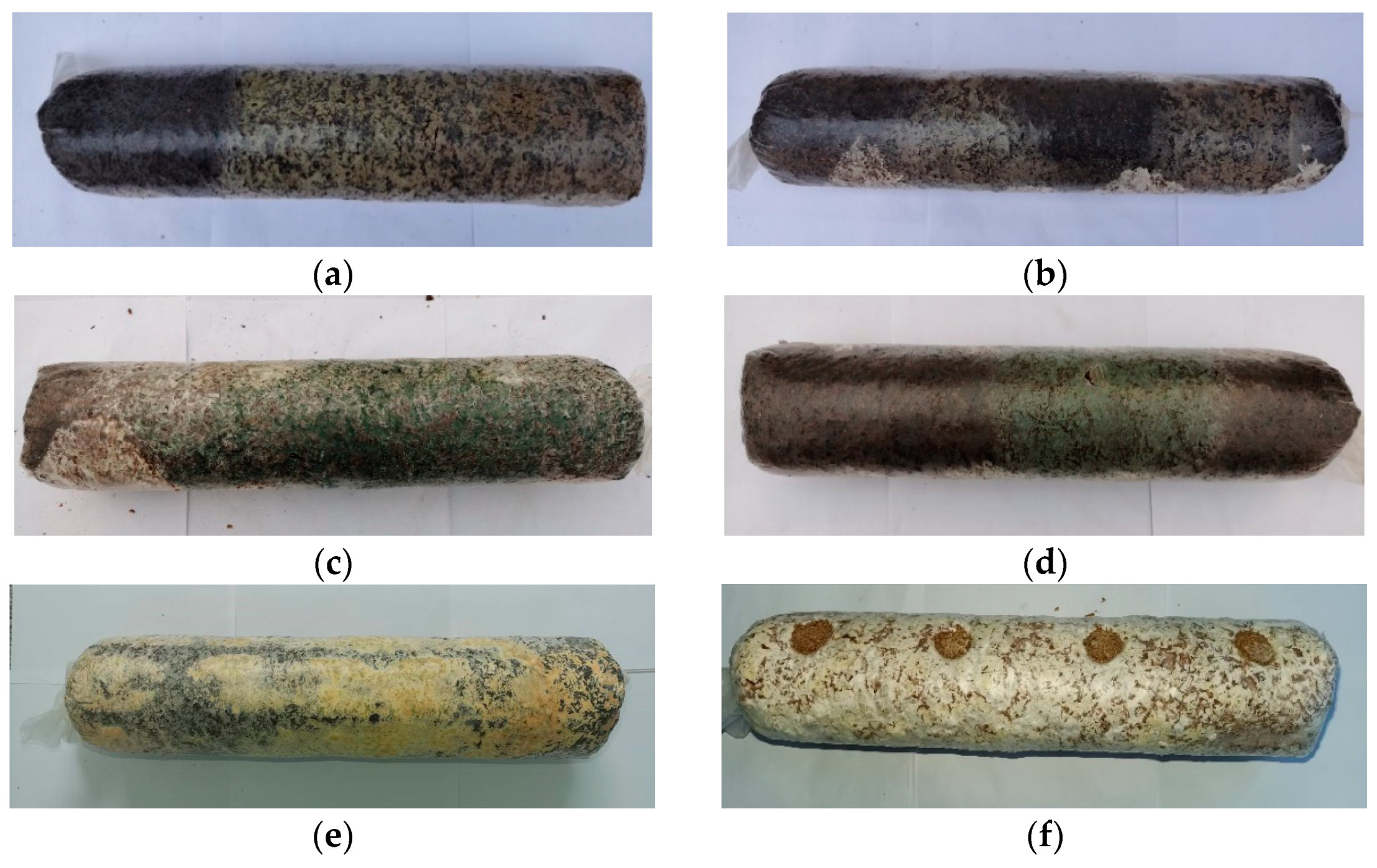 Agronomy 12 02121 g001a