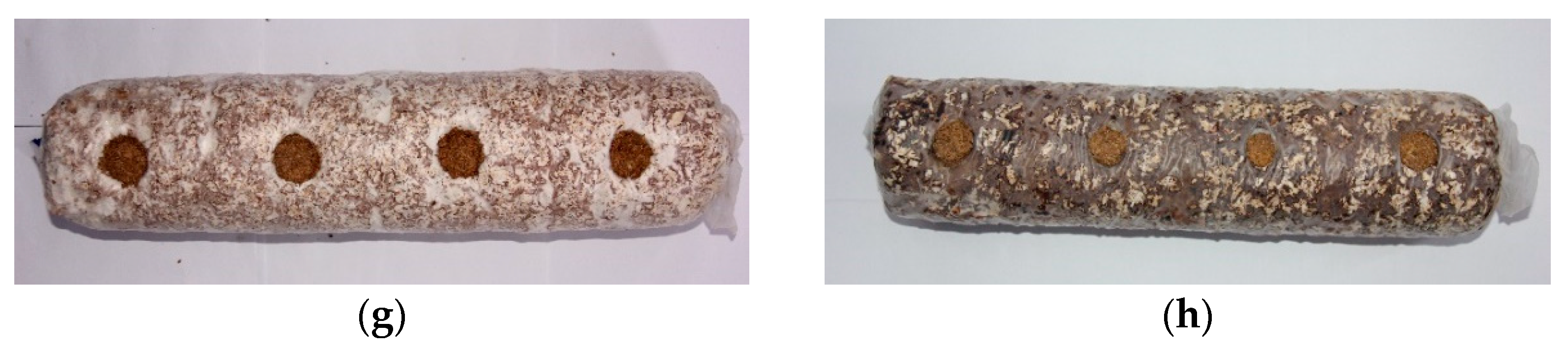 Agronomy 12 02121 g001b