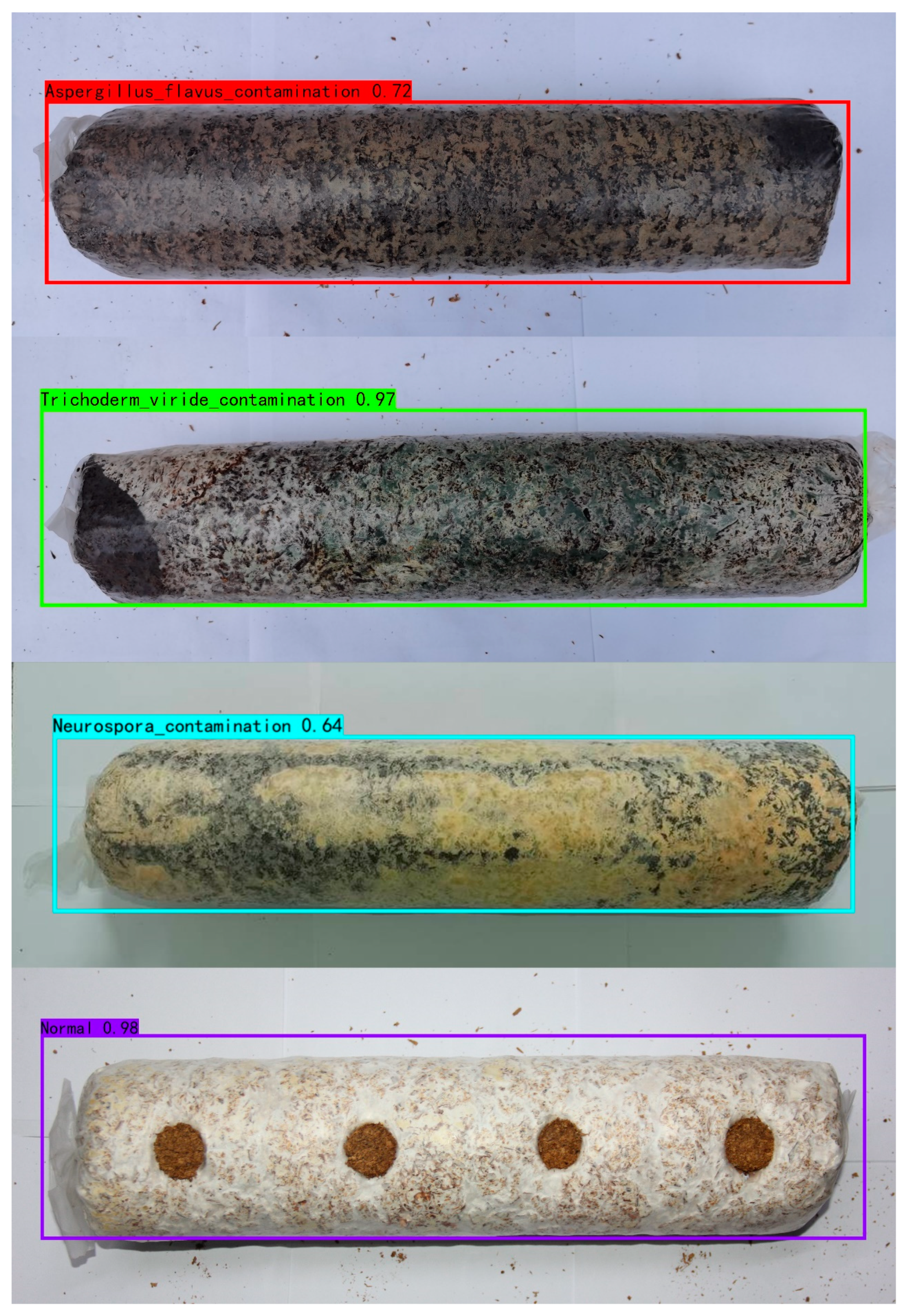 Agronomy 12 02121 g009