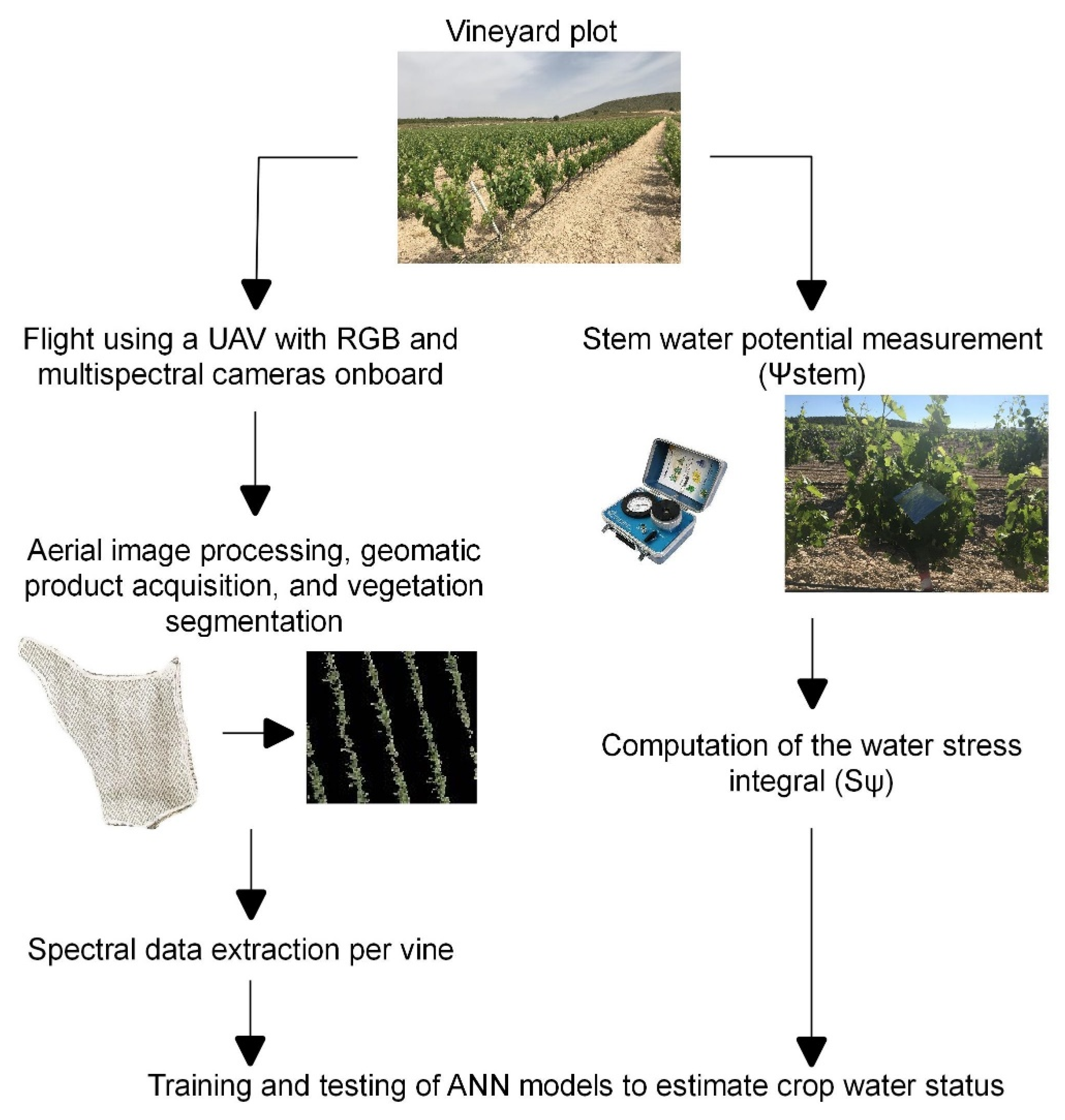 Agronomy 12 02122 g001