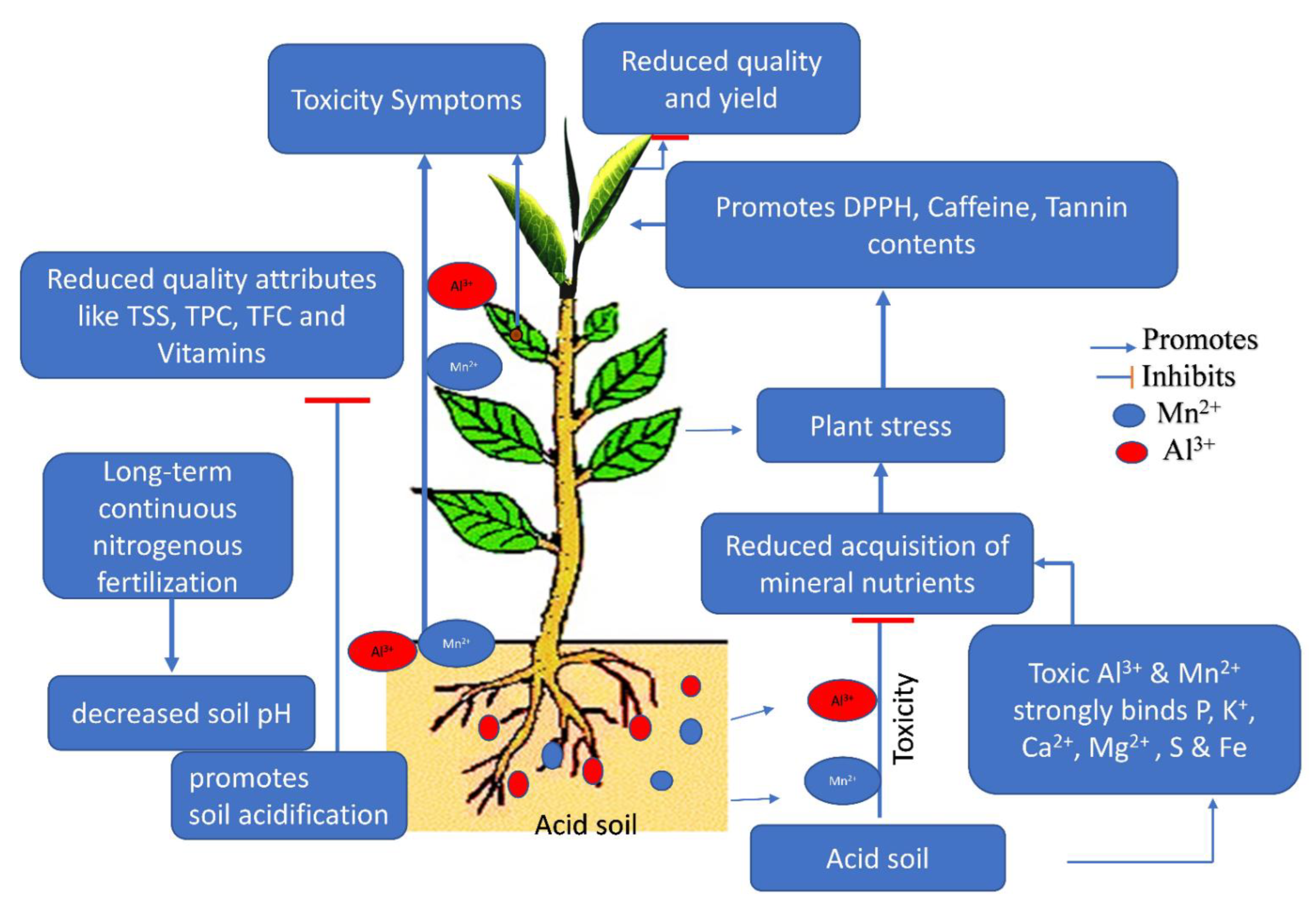 Agronomy 12 02128 g006
