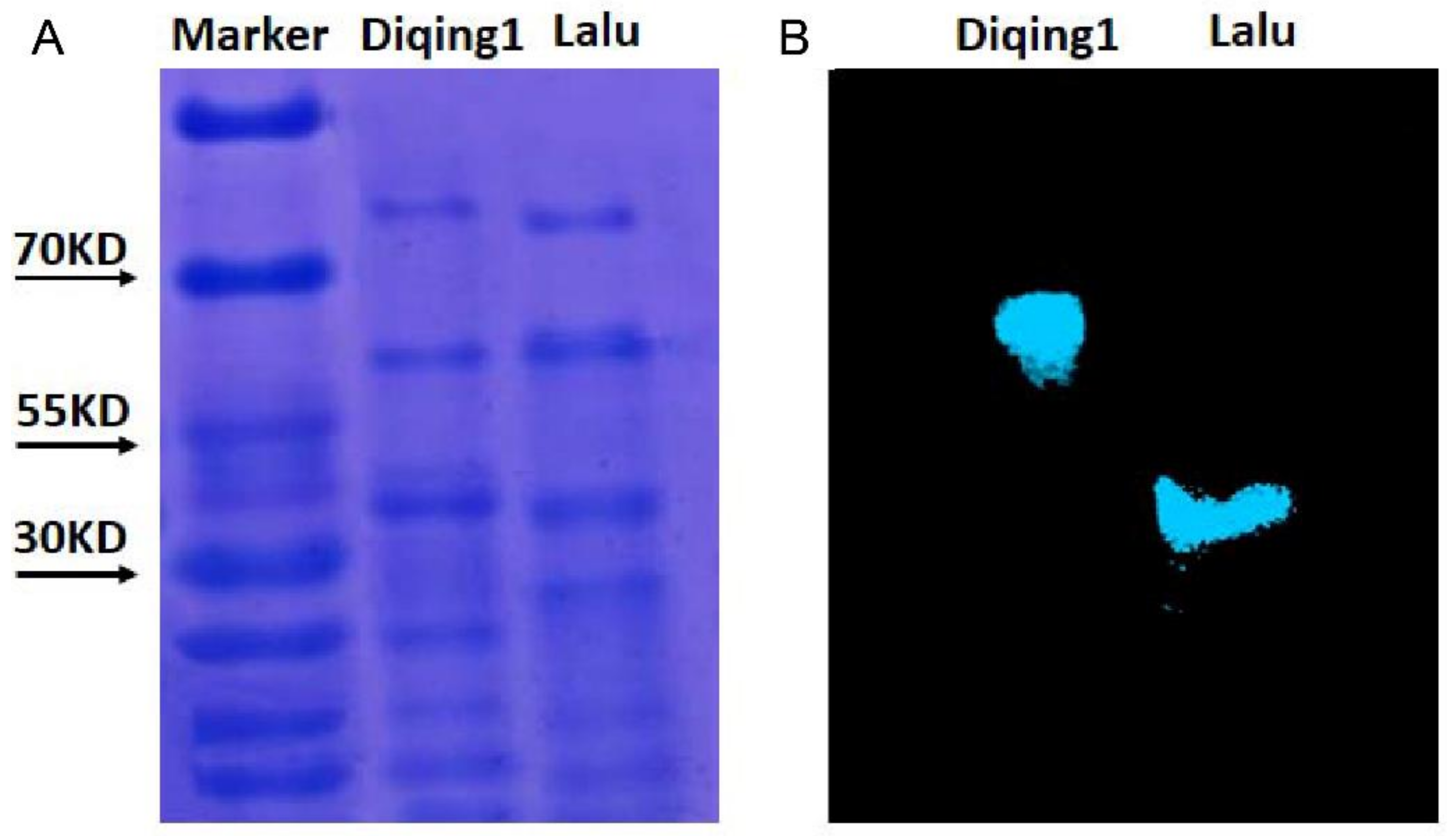 Agronomy 12 02137 g001 Agronomy 12 02137 g001