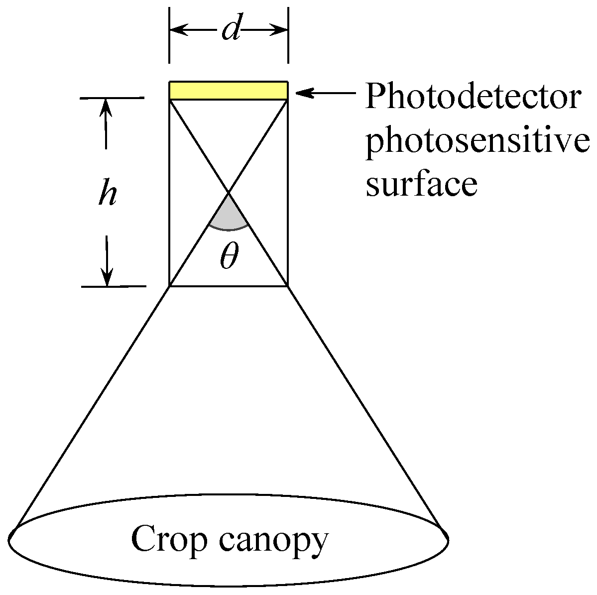 Agronomy 12 02139 g003