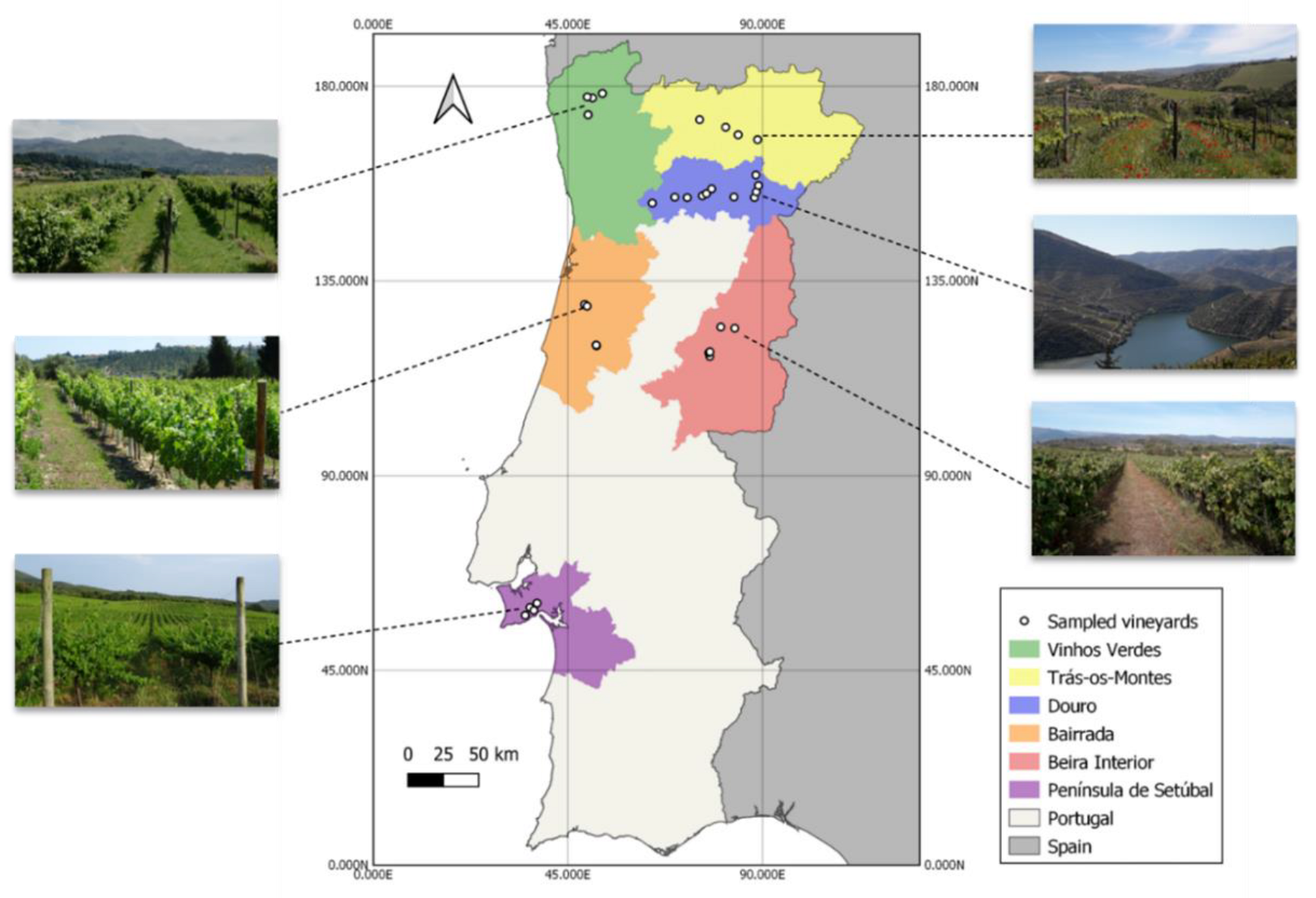 Agronomy 12 02140 g001 Agronomy 12 02140 g001