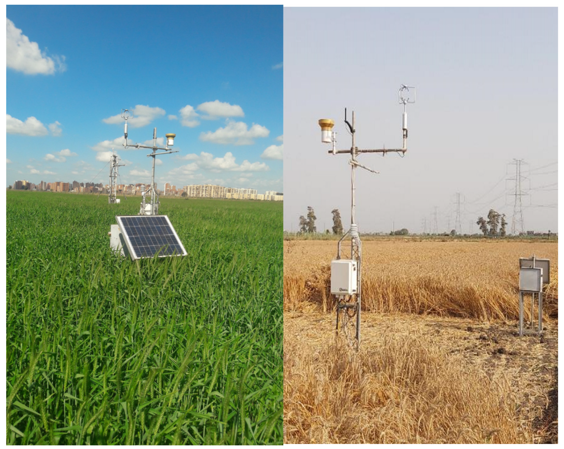 Agronomy 12 02143 g002