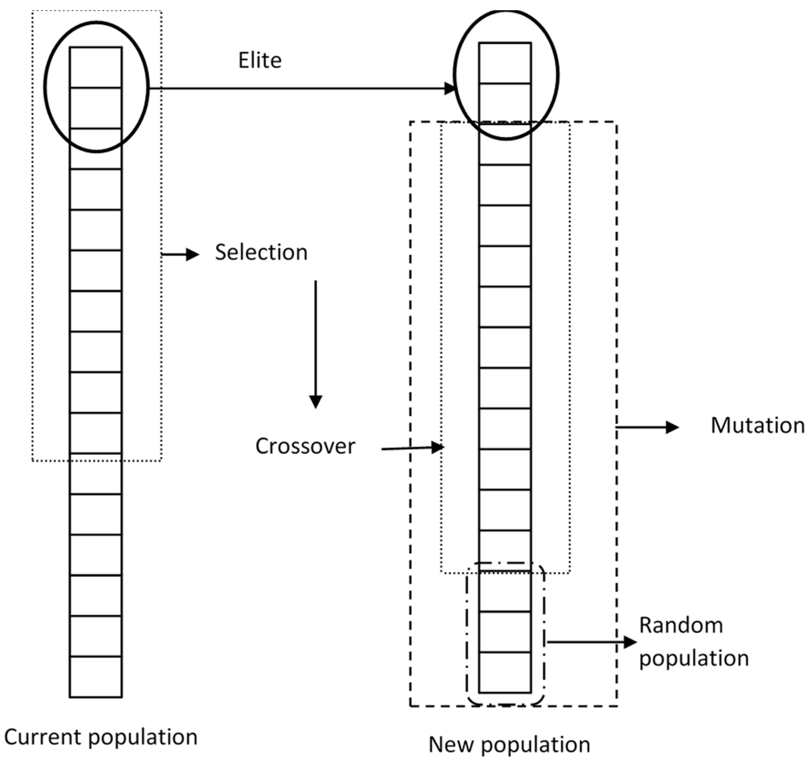 Agronomy 12 02145 g004 Agronomy 12 02145 g004