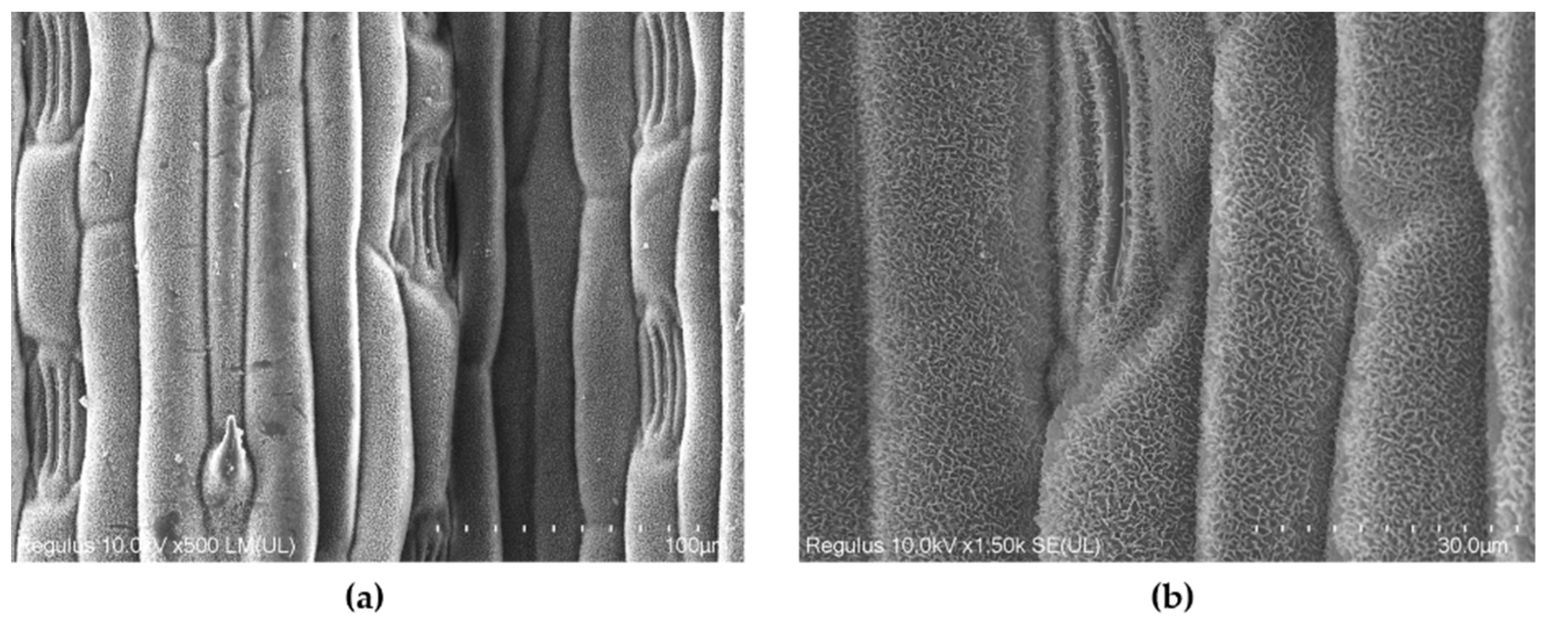 Agronomy 12 02148 g003
