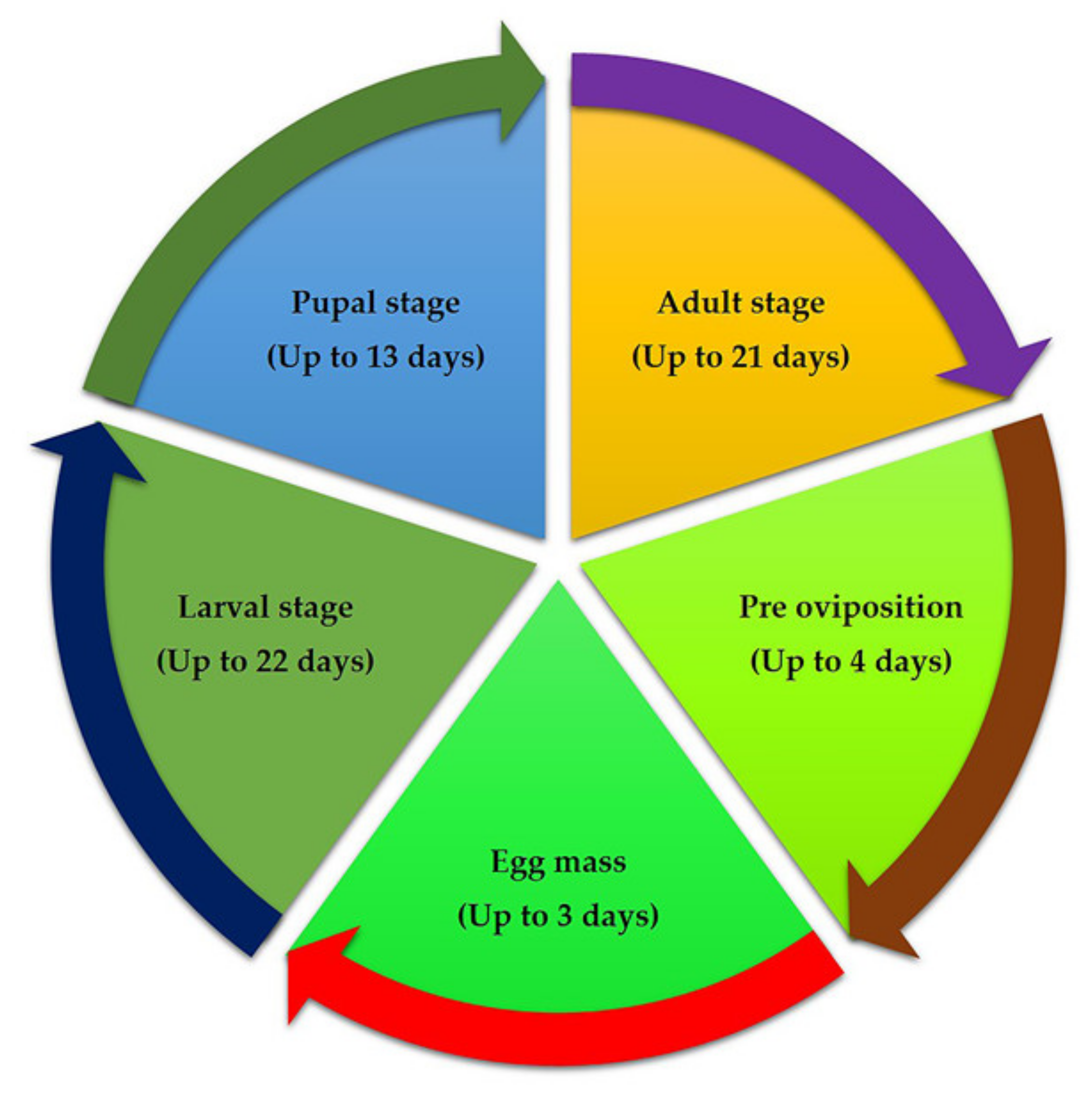 Agronomy 12 02150 g002