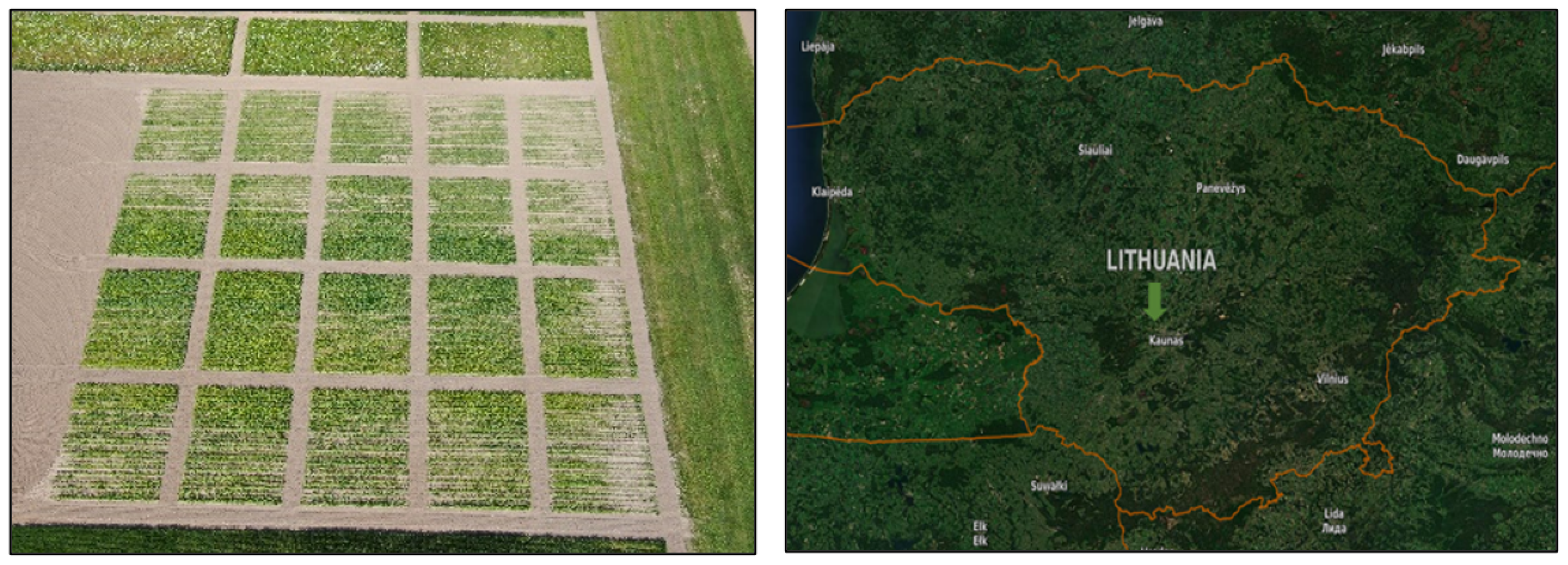 Agronomy 12 02153 g001