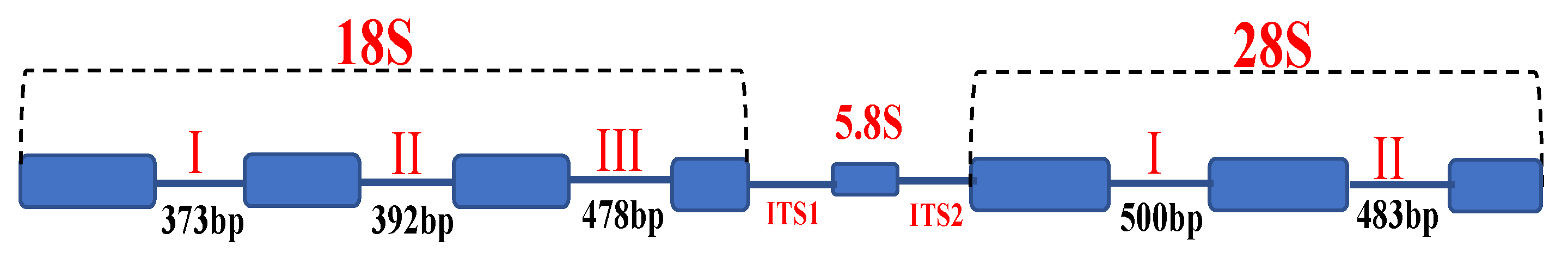 Agronomy 12 02154 g001 Agronomy 12 02154 g001