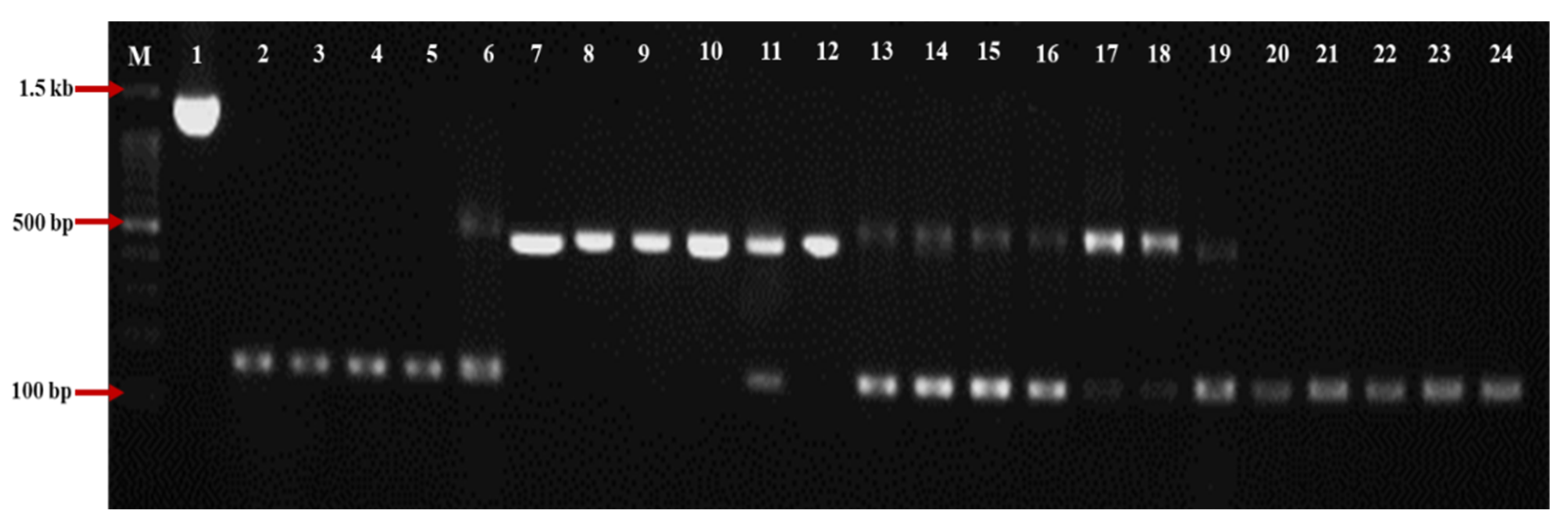 Agronomy 12 02154 g002 Agronomy 12 02154 g002