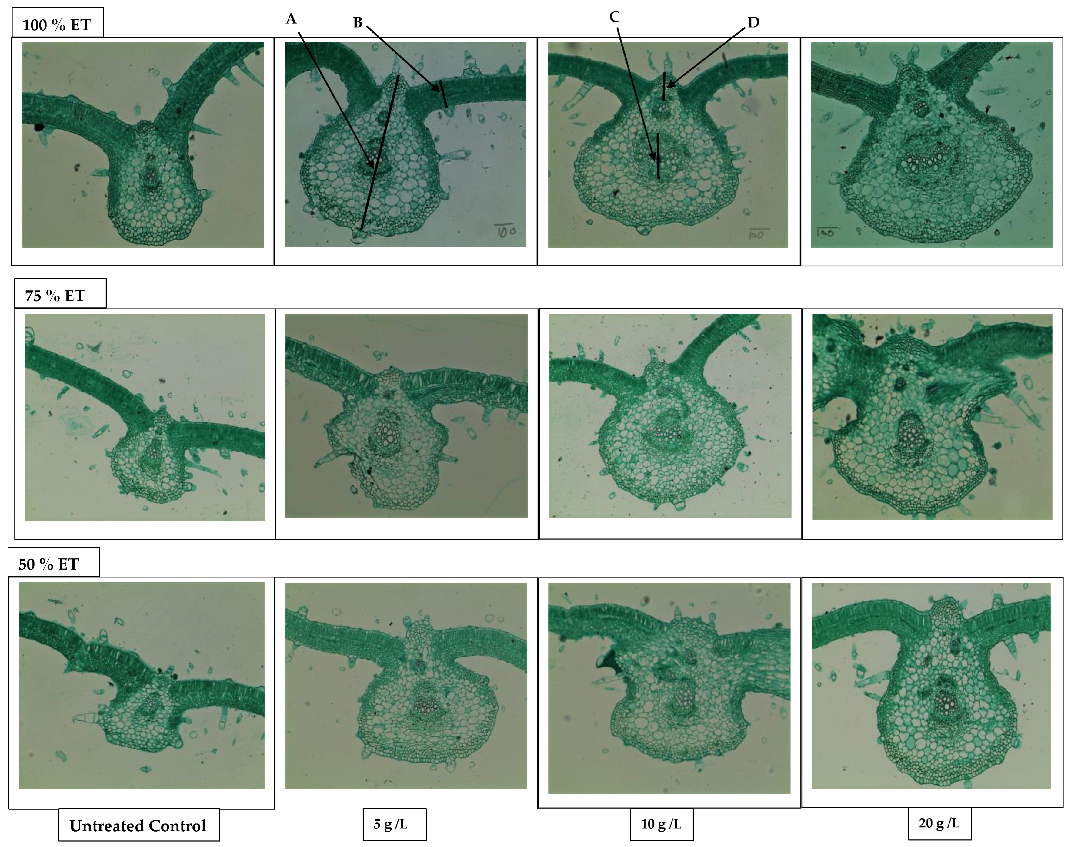 Agronomy 12 02155 g002