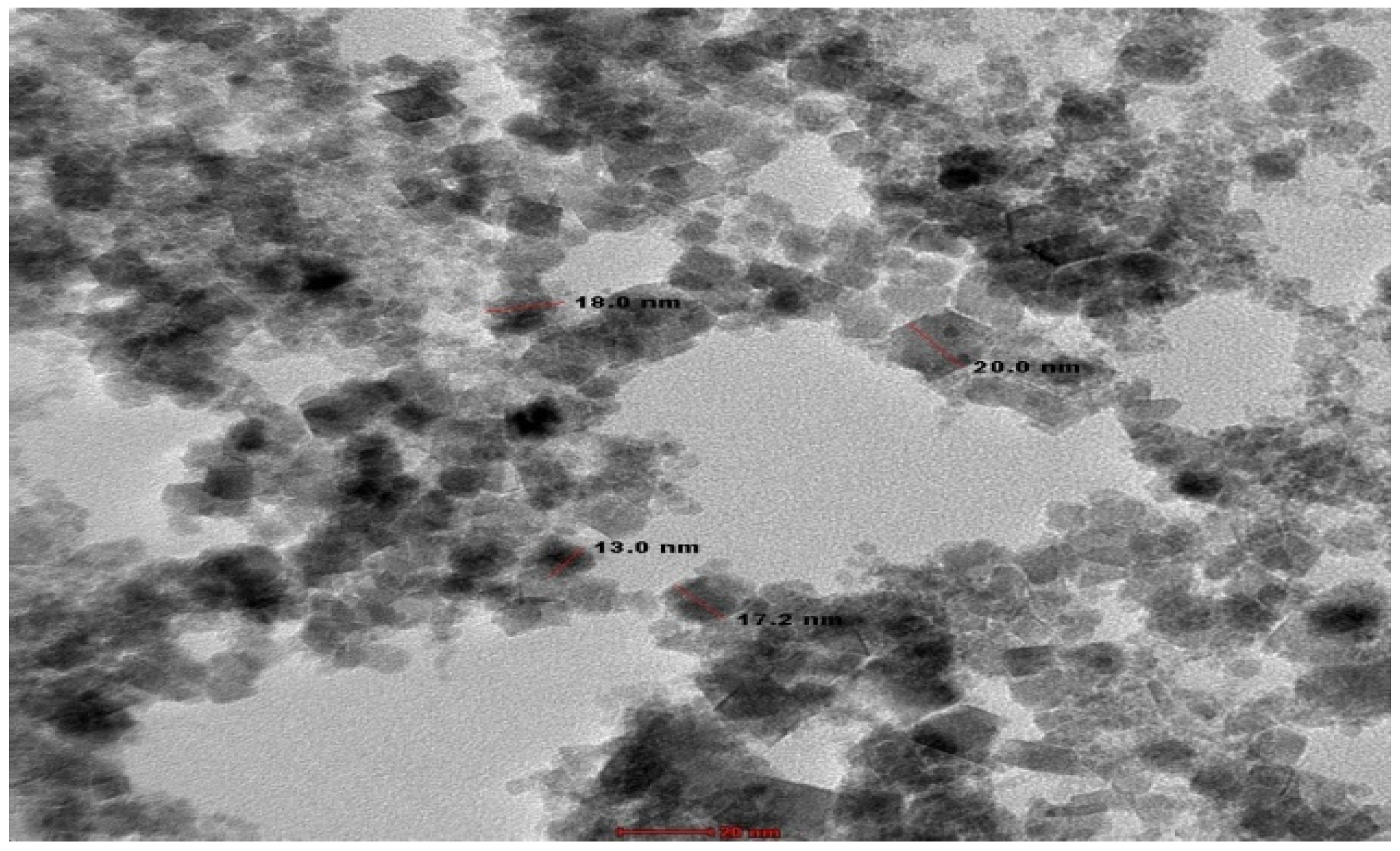 Agronomy 12 02164 g001